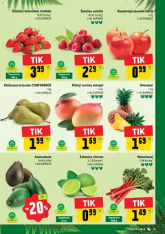IKI leidinys galioja nuo 2026.06.22 | Puslapis: 13