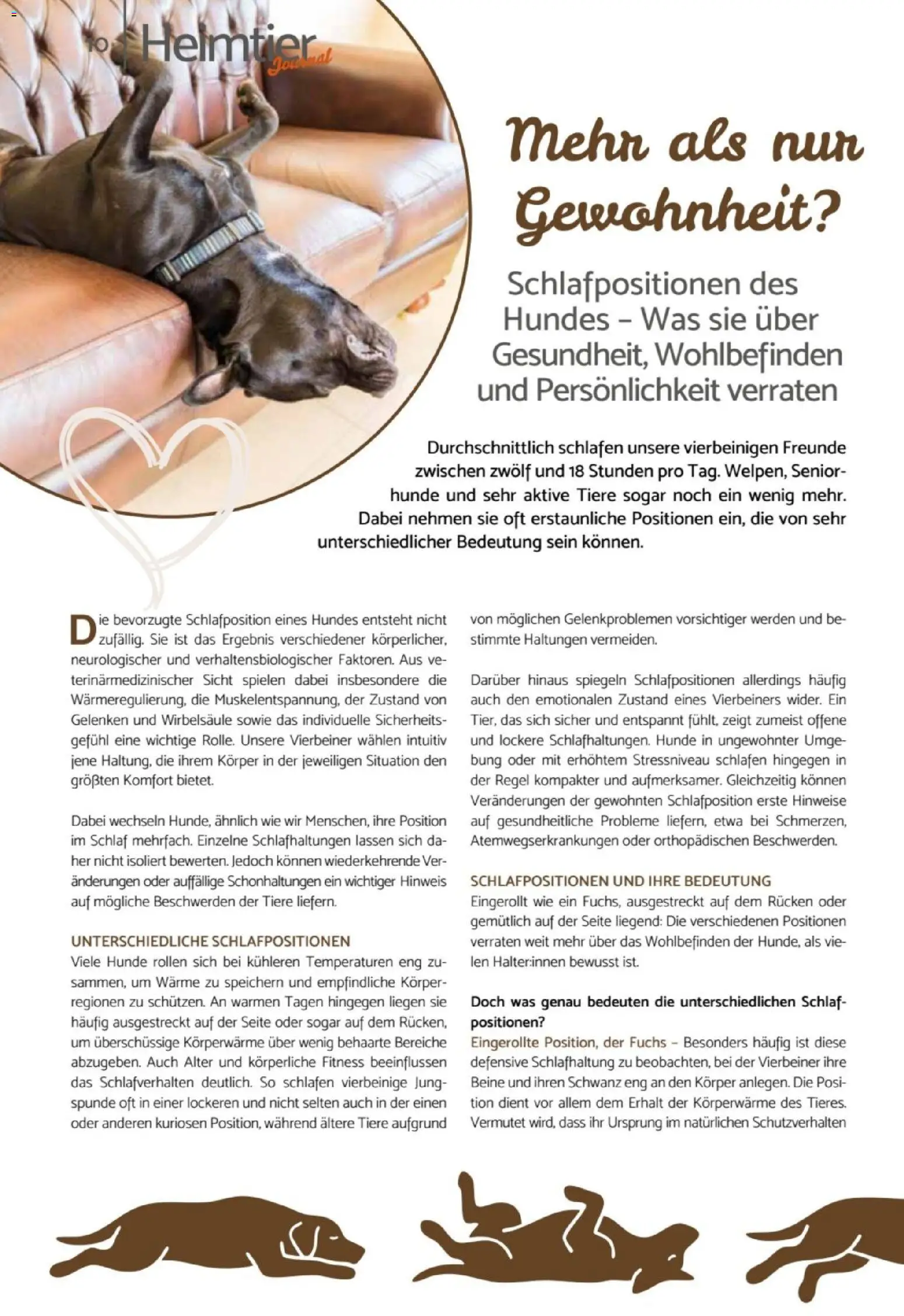 zookauf Heimtier Journal – gültig ab 01.07.2026 | Seite: 10