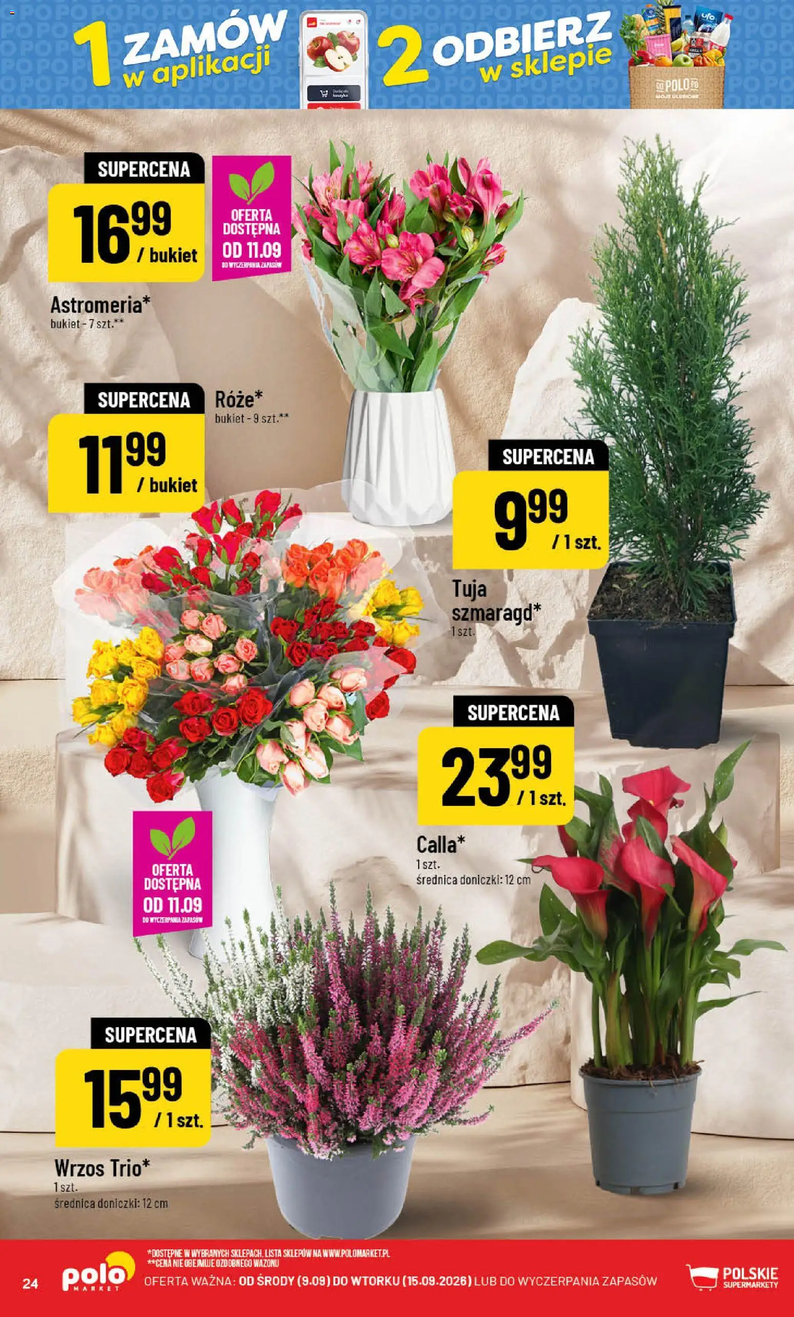 POLOmarket gazetka od 09.09.2026 | Strona: 24 | Produkty: Wrzos, Doniczki