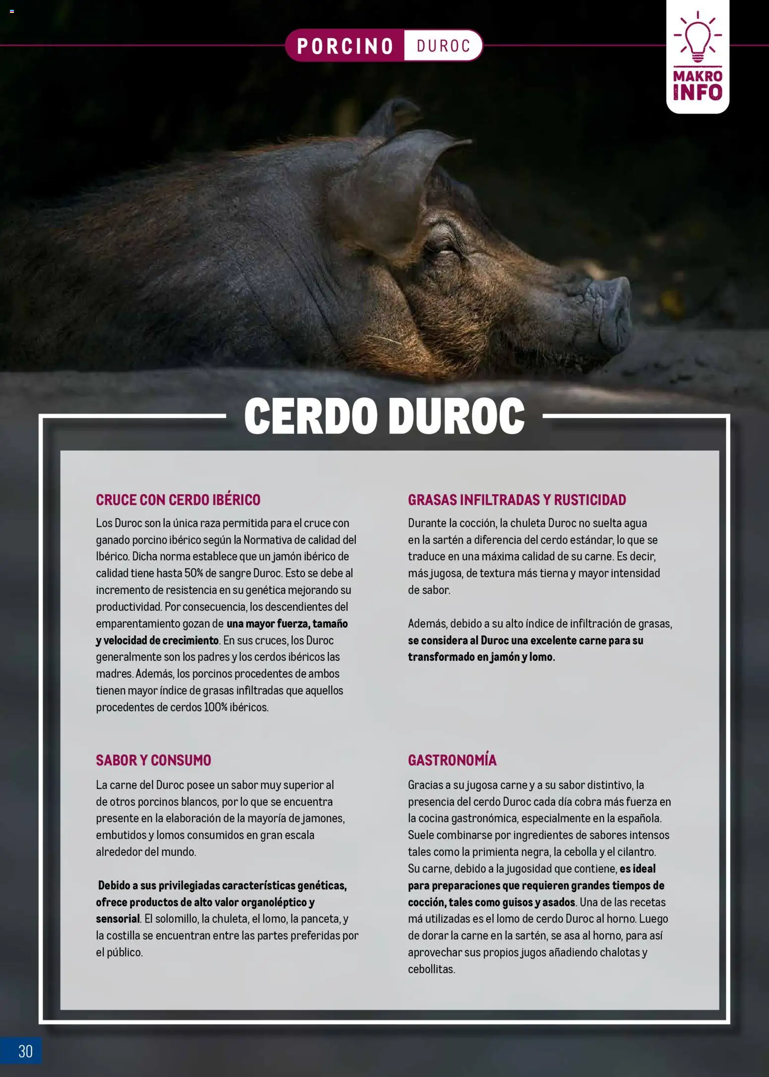 Makro - Expertos en carnes │ válido desde el 09.03.2026 | Página: 30 | Productos: Κρεμάστρα, Jamón, Νυχτικό, Cocina