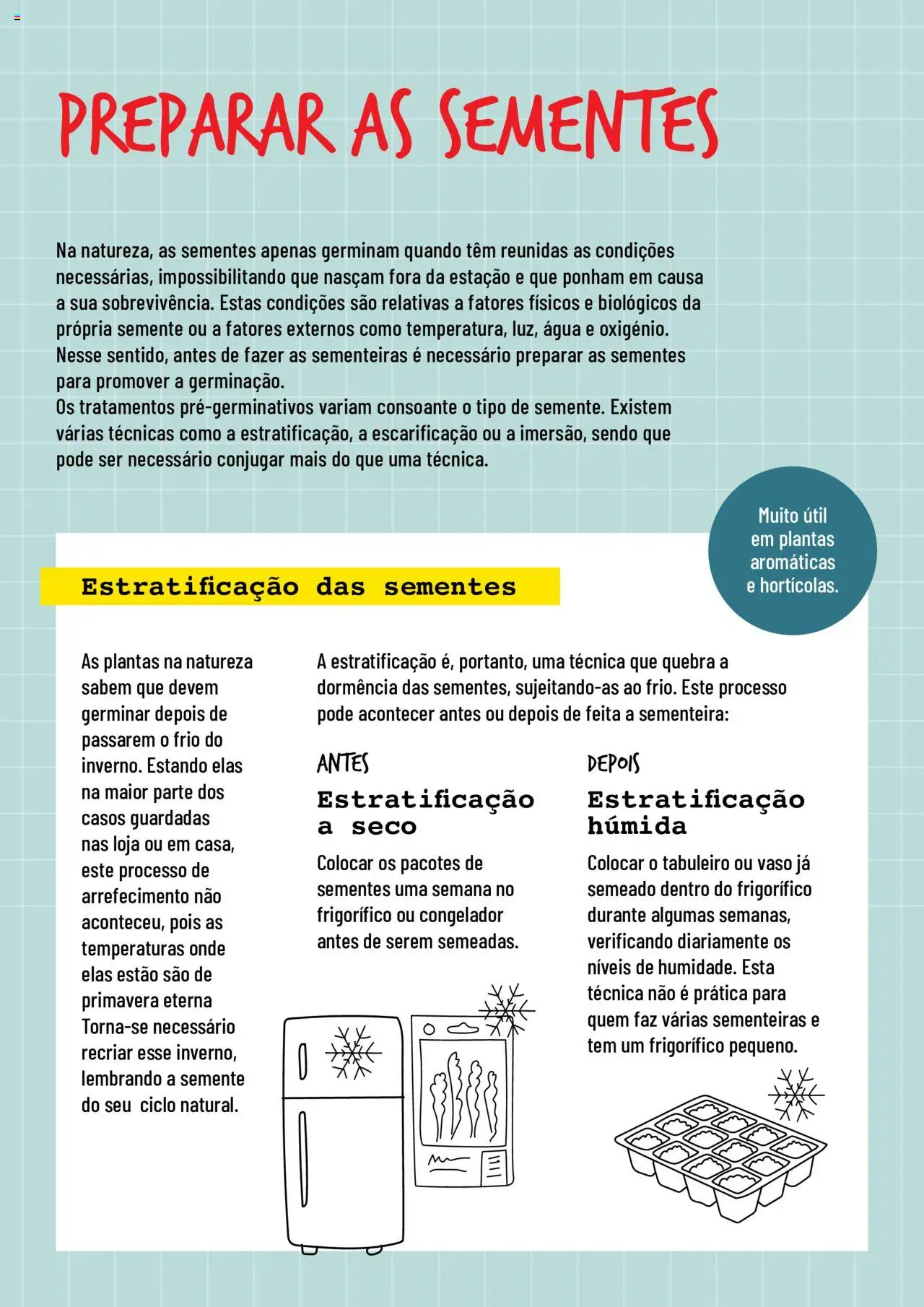 BricoMarché Sementeiras │ válido de 17/01/2024 | Página: 2 | Produtos: Frigorífico, Congelador, Vaso