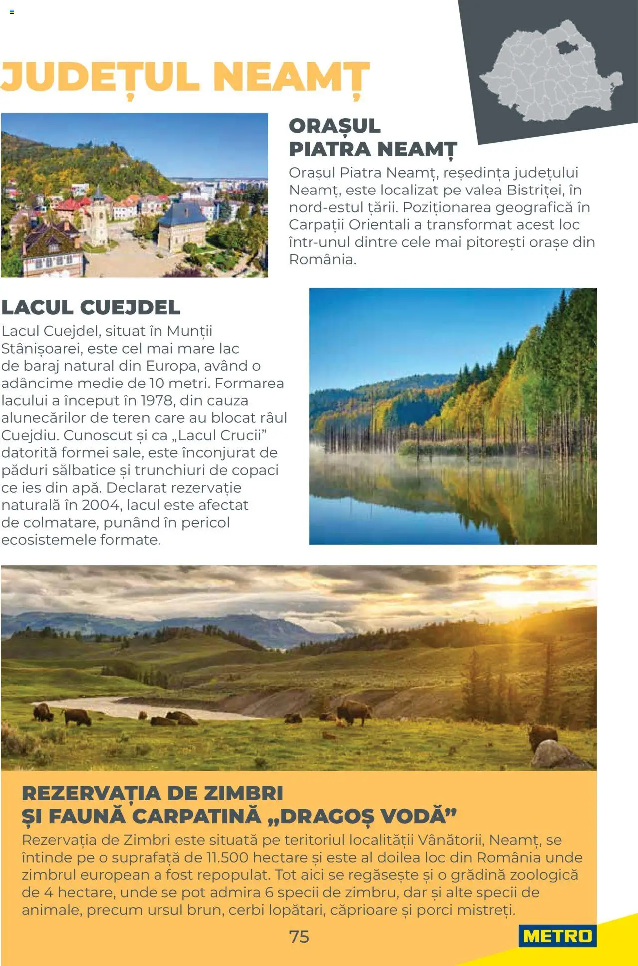 Noul catalog Metro – valabil de la 01.08.2025 | Pagină: 75