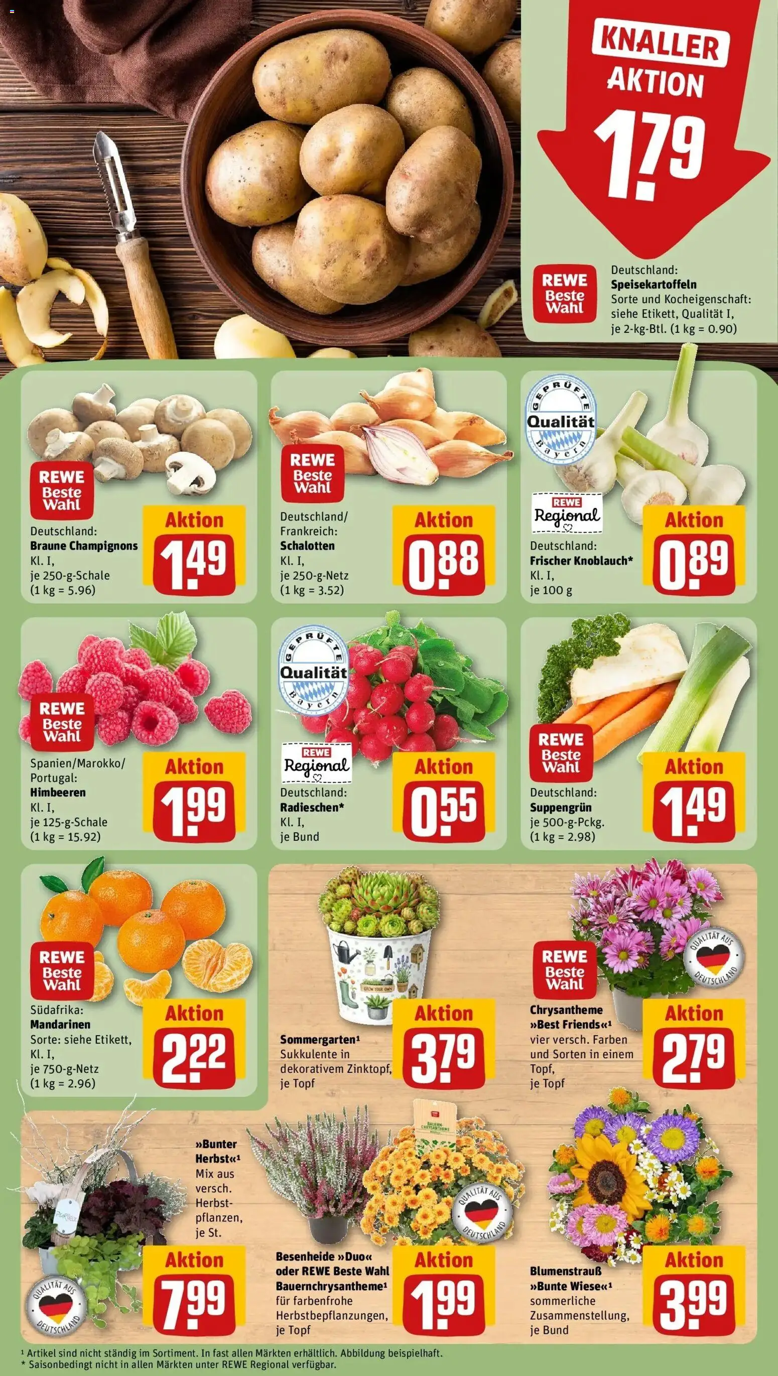 REWE Prospekt ab 07.09.2026 zum Blättern » Angebote | Seite: 7 | Produkte: Himbeeren, Mandarinen, Champignons