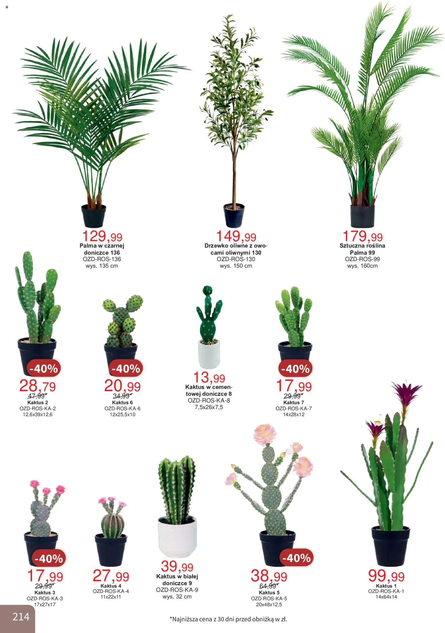 Bodzio Katalog od 01.10.2026 | Strona: 214 | Produkty: Palma
