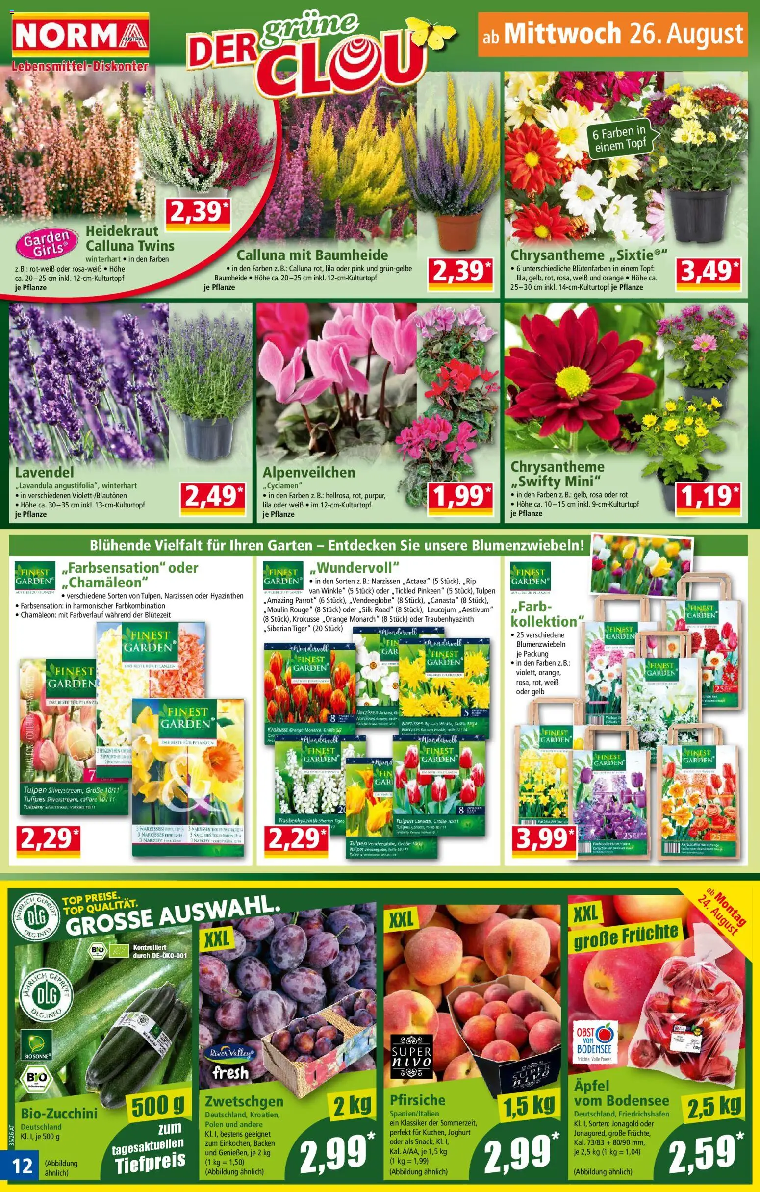 Norma Flugblatt gültig ab 24.08.2026 | Seite: 12 | Produkte: Obst, Rouge, Joghurt, Äpfel