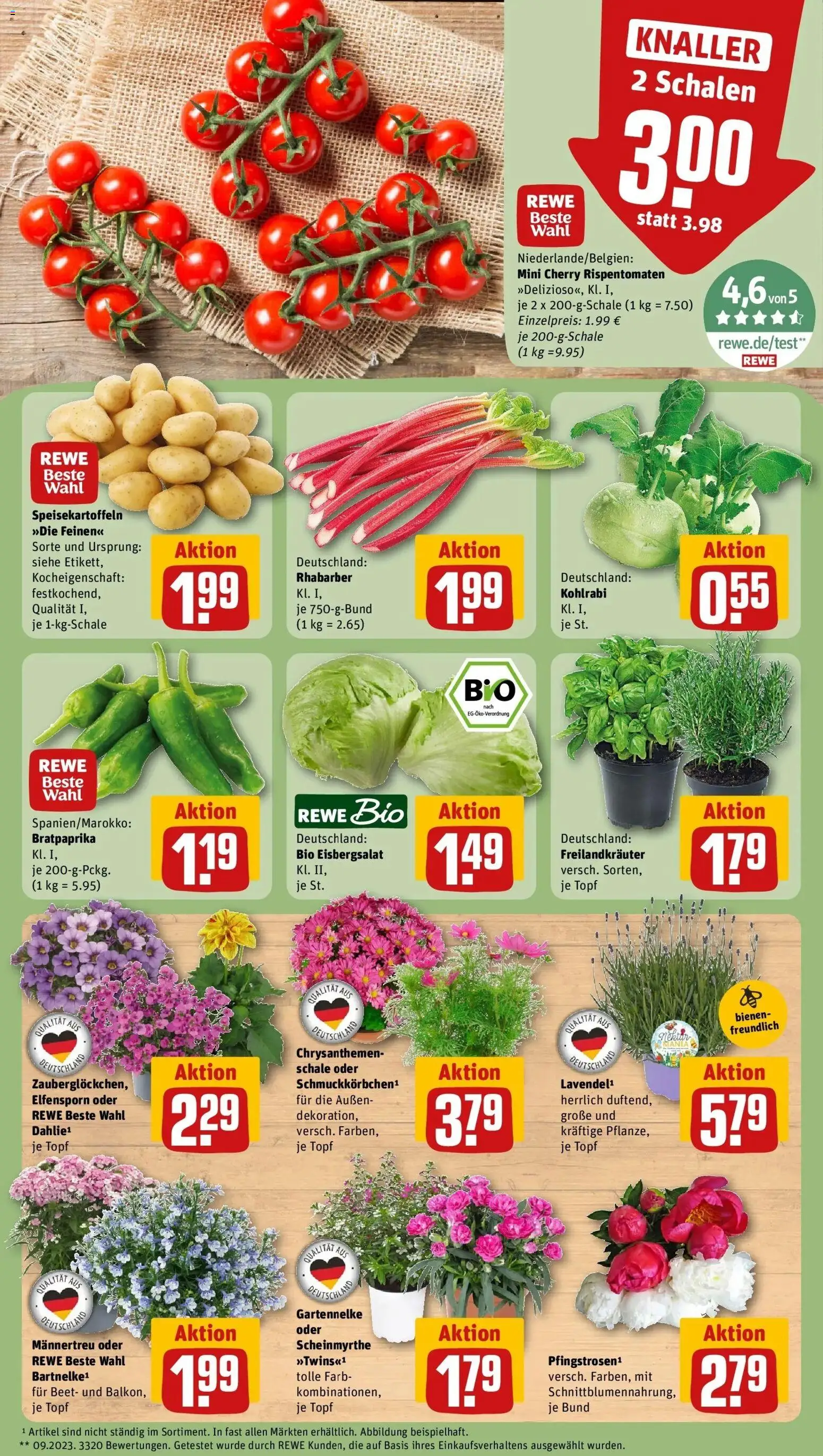 Rewe Prospekt Mainz / Gonsenheim – gültig ab 01.06.2026 | Seite: 5 | Produkte: Kohlrabi, Eisbergsalat, Rhabarber
