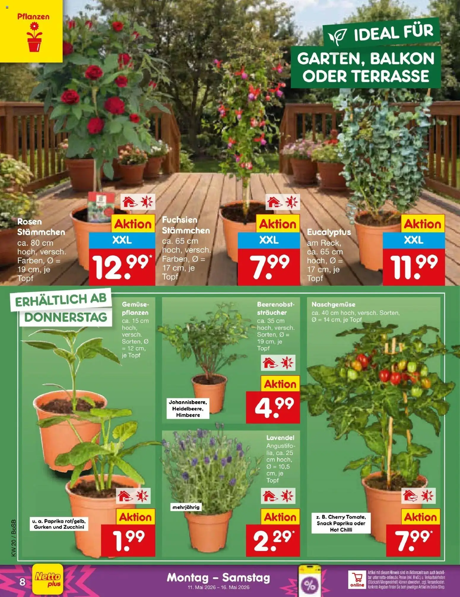 Netto Marken-Discount Prospekt Bonn	 – gültig ab 10.05.2026 | Seite: 9