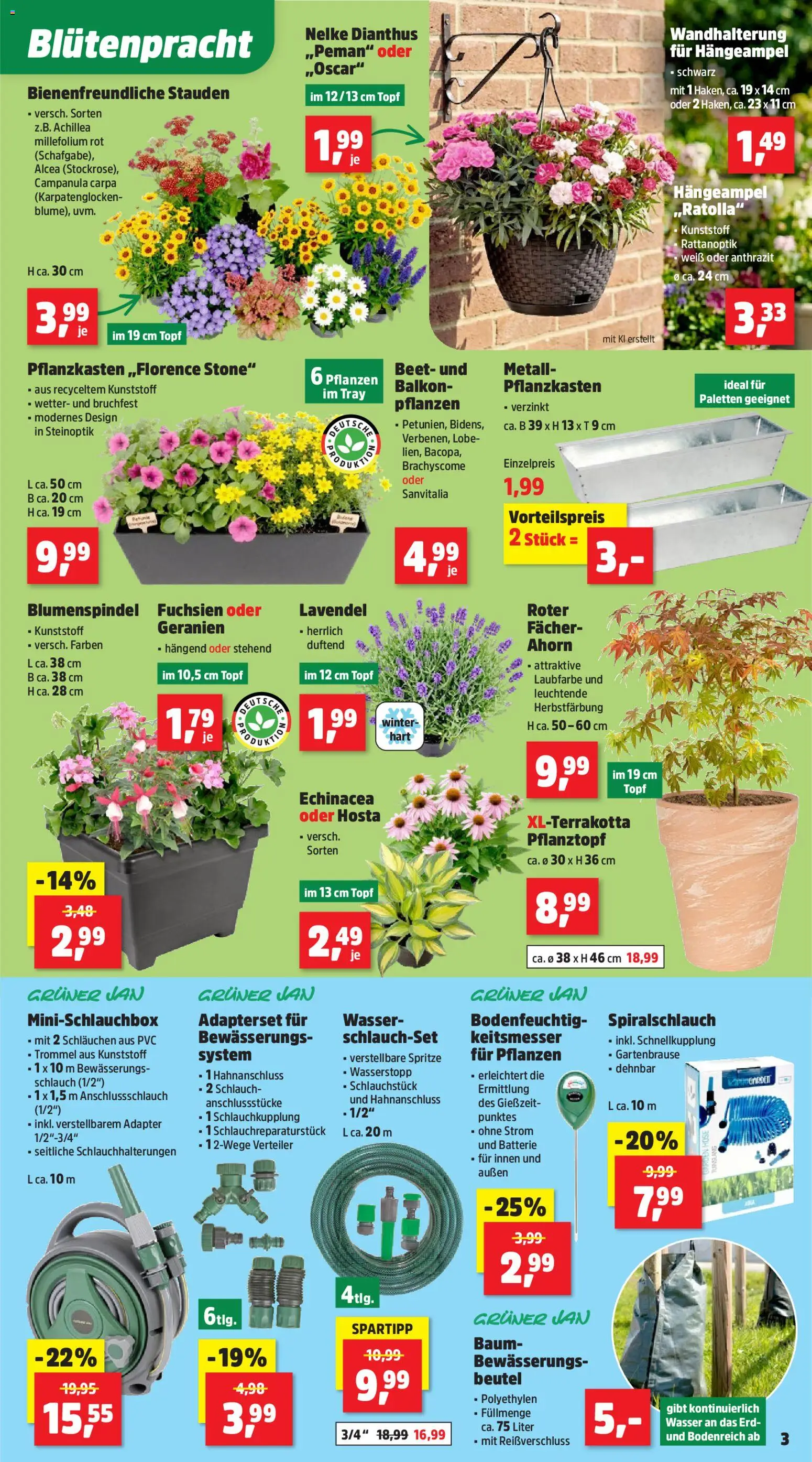 Thomas Philipps Prospekt | 01.06.2026 | Wie erhält man einen begrenzten Rabatt? | Deutschland