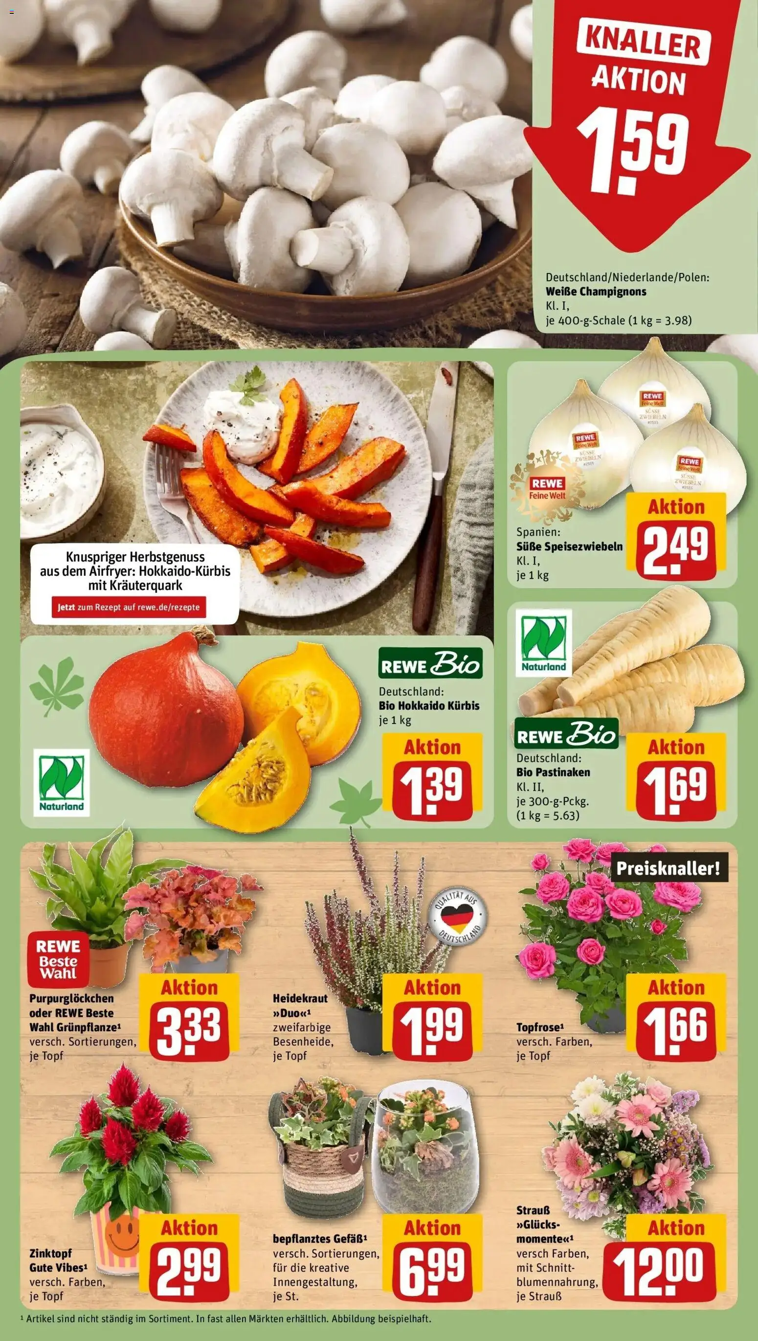 REWE Prospekt ab 28.09.2026 zum Blättern » Angebote | Seite: 13 | Produkte: Champignons, Zwiebeln, Soße, Kürbis