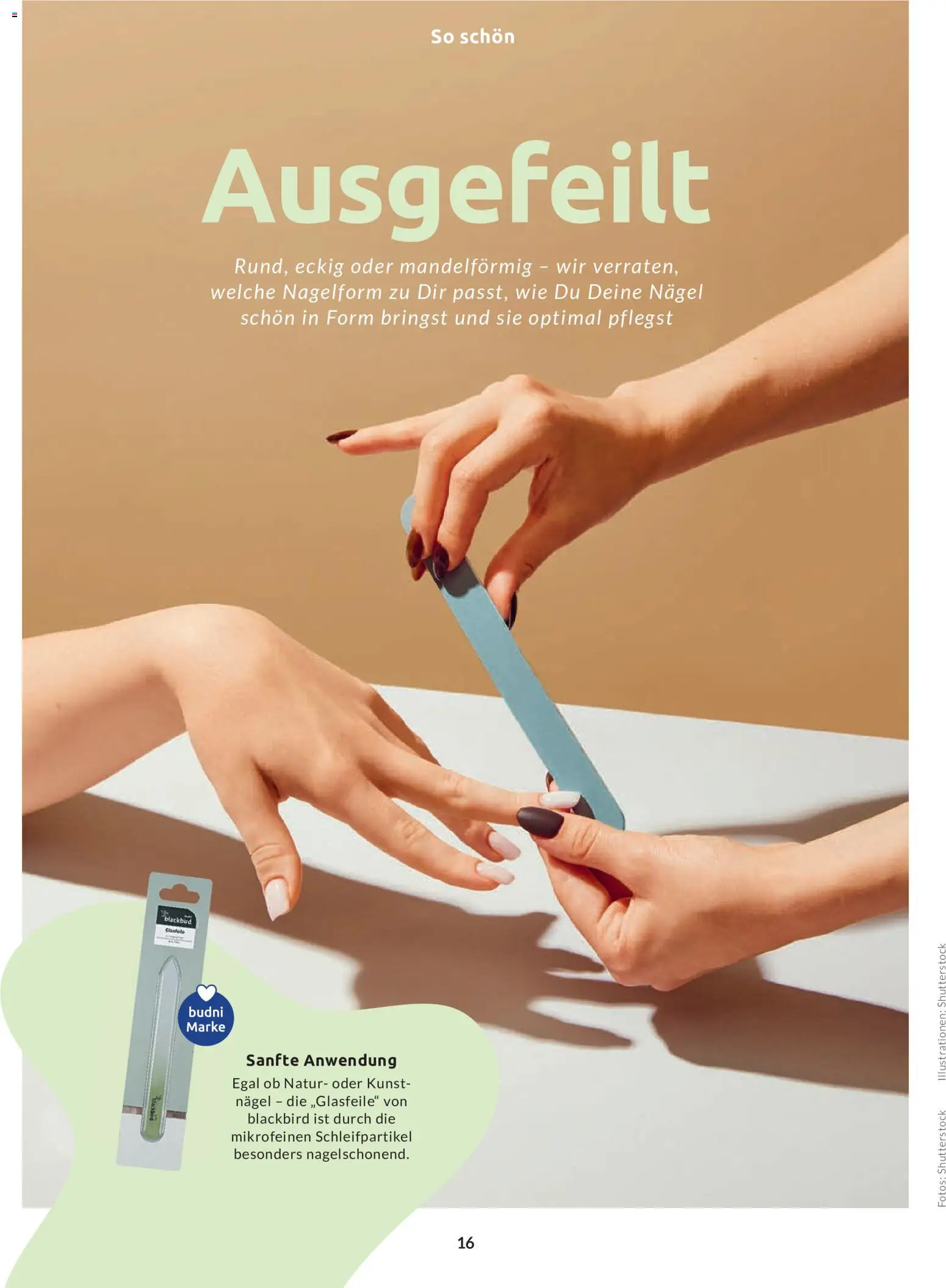 Budni Perle Magazin 04/26 – gültig ab 09.07.2026 | Seite: 16