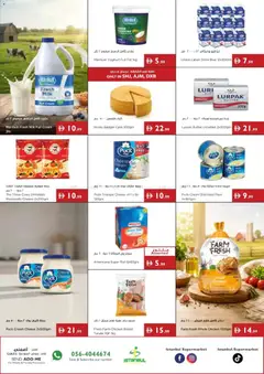 Preview of Istanbul Supermarket catalogue sunshine savings valid from 9 Jul, 2026 | Page: 9 | Products: Vajcia, Čokoláda, Котлон