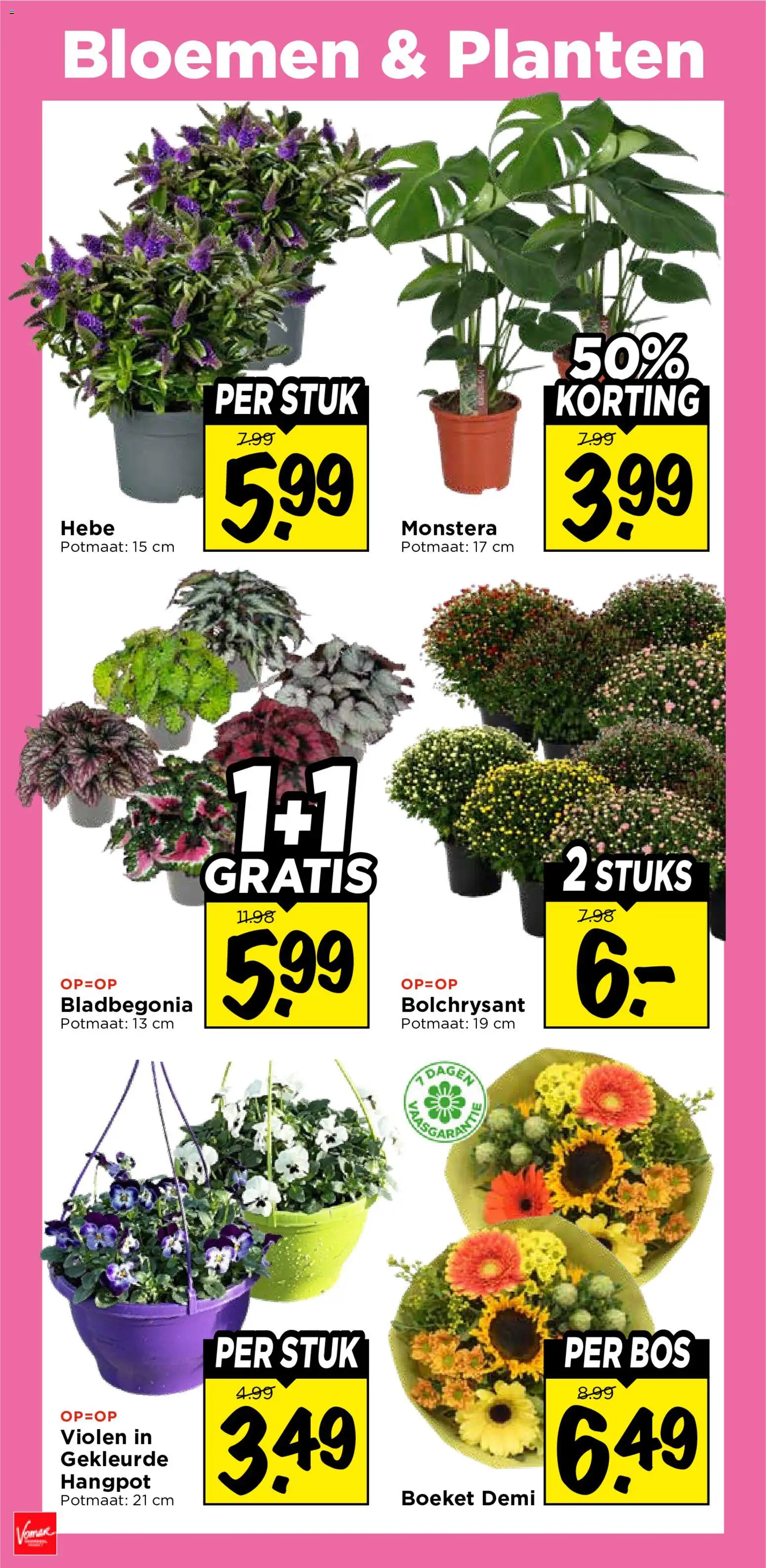 {H1} | Pagina: 34 | Producten: Bloemen