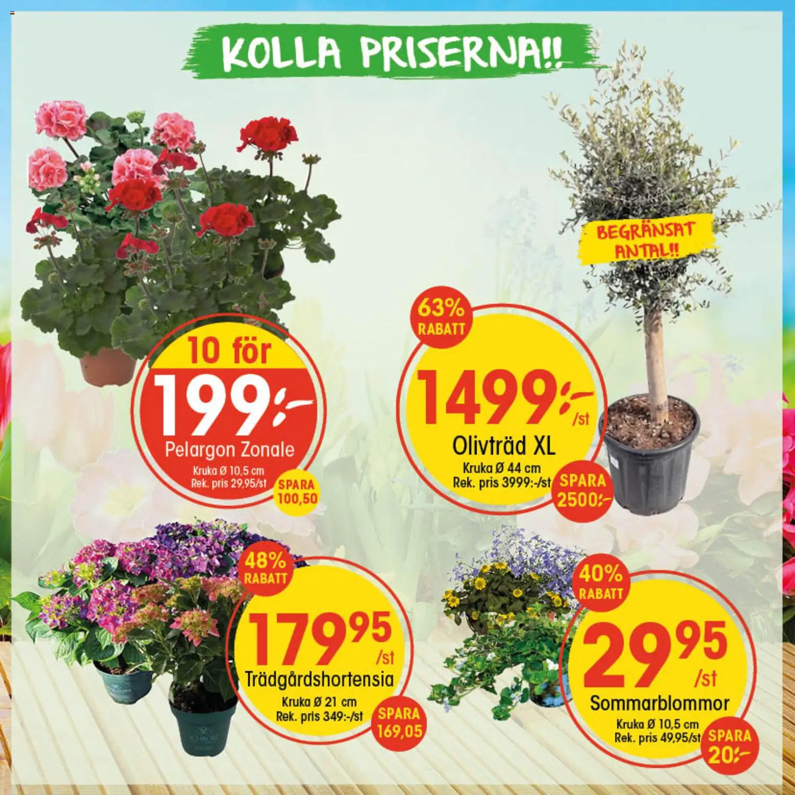 EKO reklamblad aktuell från 04.05.2026 | Sida: 1 | Produkter: Pelargon, Kruka