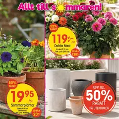 EKO erbjudanden - Förhandsvisning av reklamblad från butik EKO aktuell från 06/07/2026