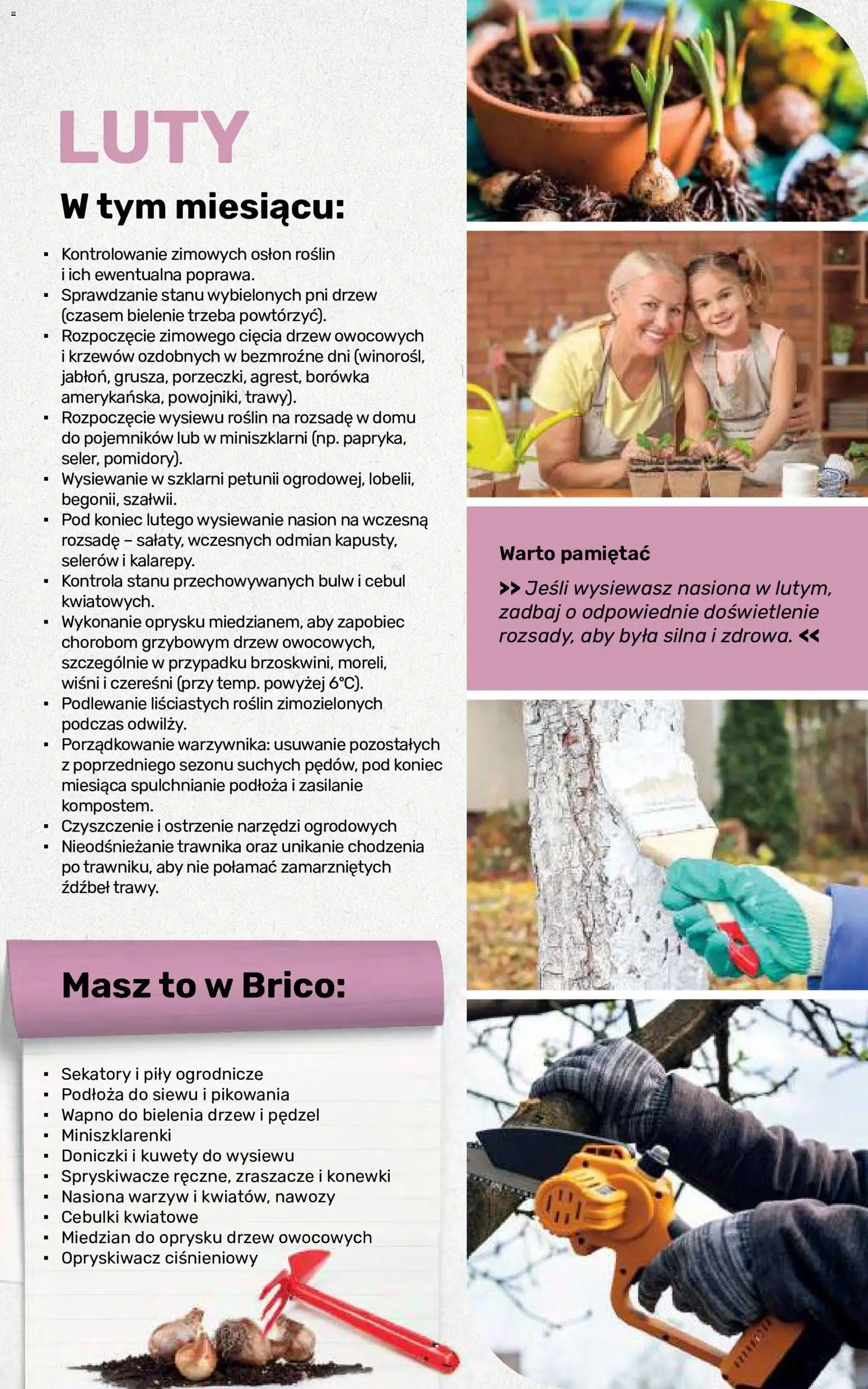 Brico Marché gazetka - Jesienne Inspiracje od 17.08.2026 | Strona: 101 | Produkty: Opryskiwacz, Nasiona, Doniczki, Opryskiwacz ciśnieniowy