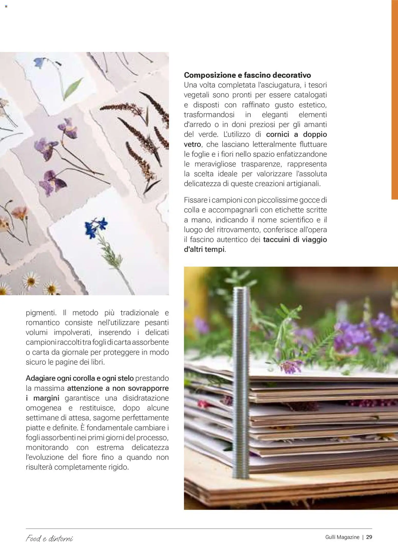 Volantino Gulliver del 01/10/2026 | Pagina: 29 | Prodotti: Colla, Fiori, Assorbenti