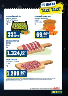 30 Eylül 2026 tarihinden itibaren geçerli olan Metro kataloğu önizlemesi | Sayfa: 5 | Ürünler: Mandalina, Balkabağı