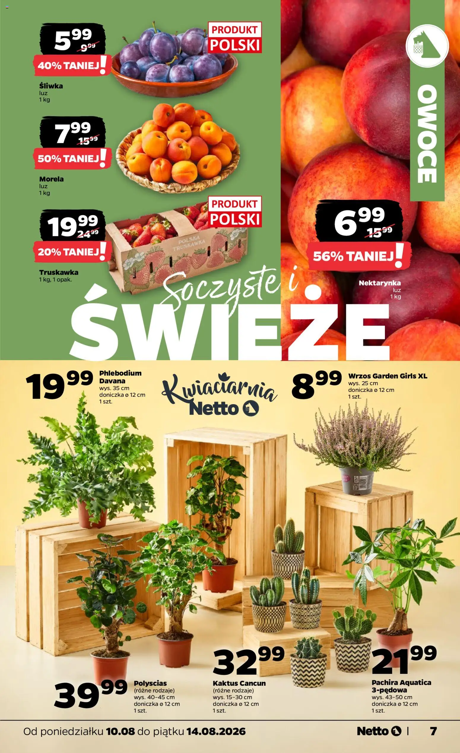 Netto gazetka od poniedziałku od 10.08.2026 | Strona: 7 | Produkty: Nektarynka, Wrzos, Doniczka, Owoce