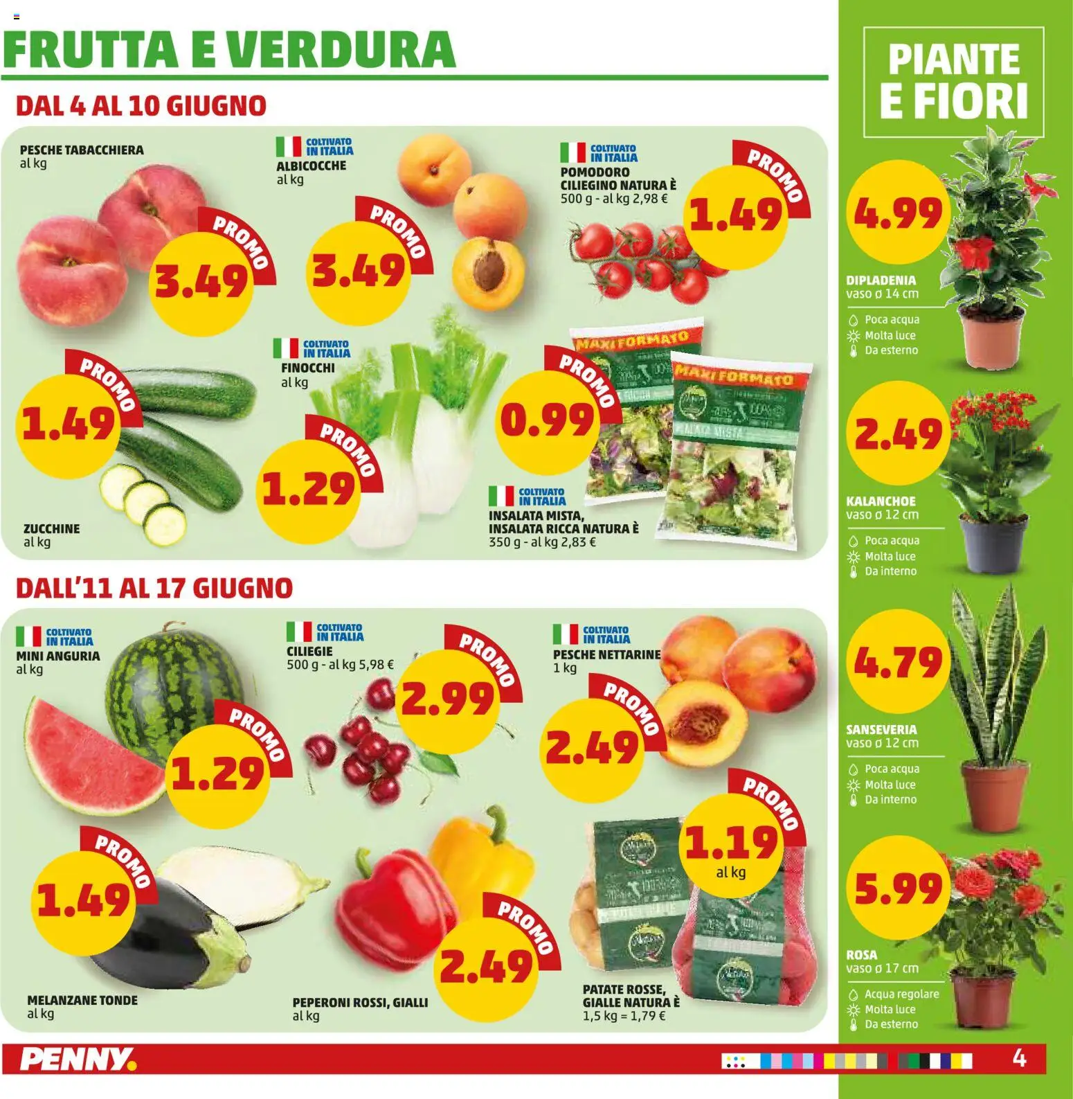 Volantino PENNY del 04.06.2026 | Pagina: 4 | Prodotti: Peperoni, Insalata, Acqua, Melanzane