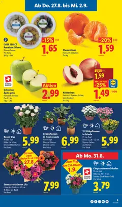 Schweizer Äpfel grün, Herkunft: Schweiz, Pro 2,5 kg, 1 kg = 1.20 ab 27.08.2026 gültig | Seite: 9