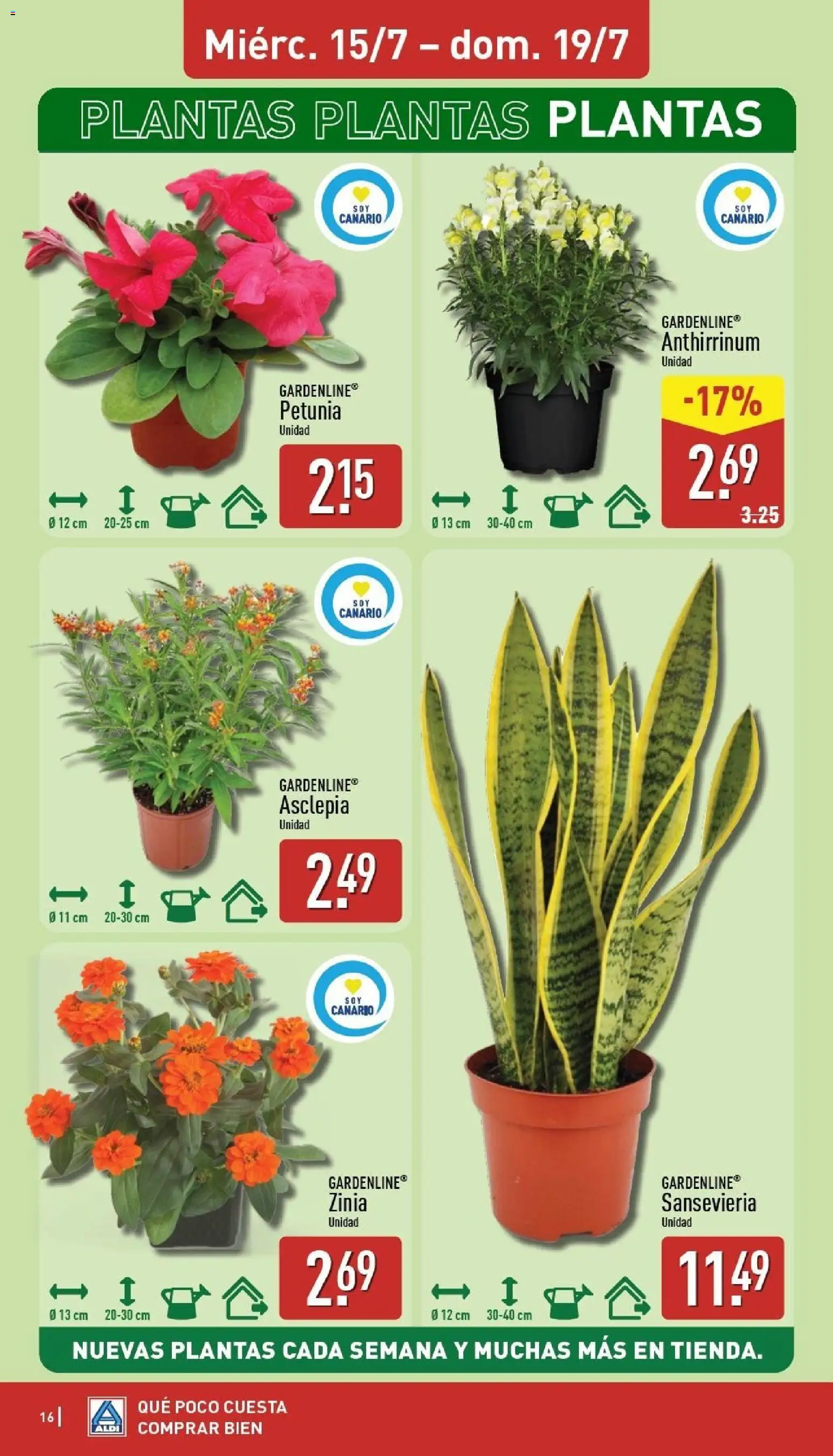 Aldi folleto Canarias │ válido desde el 13/07/2026 | Página: 16