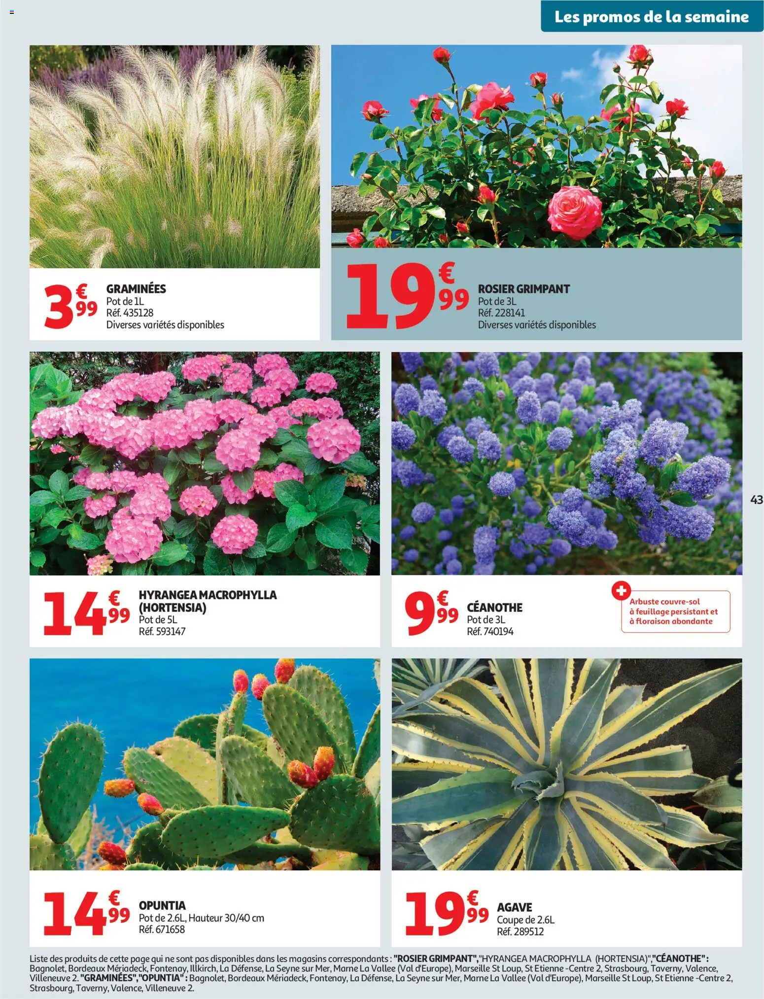 {H1} | Page: 47 | Produits: Hortensia, Rosier