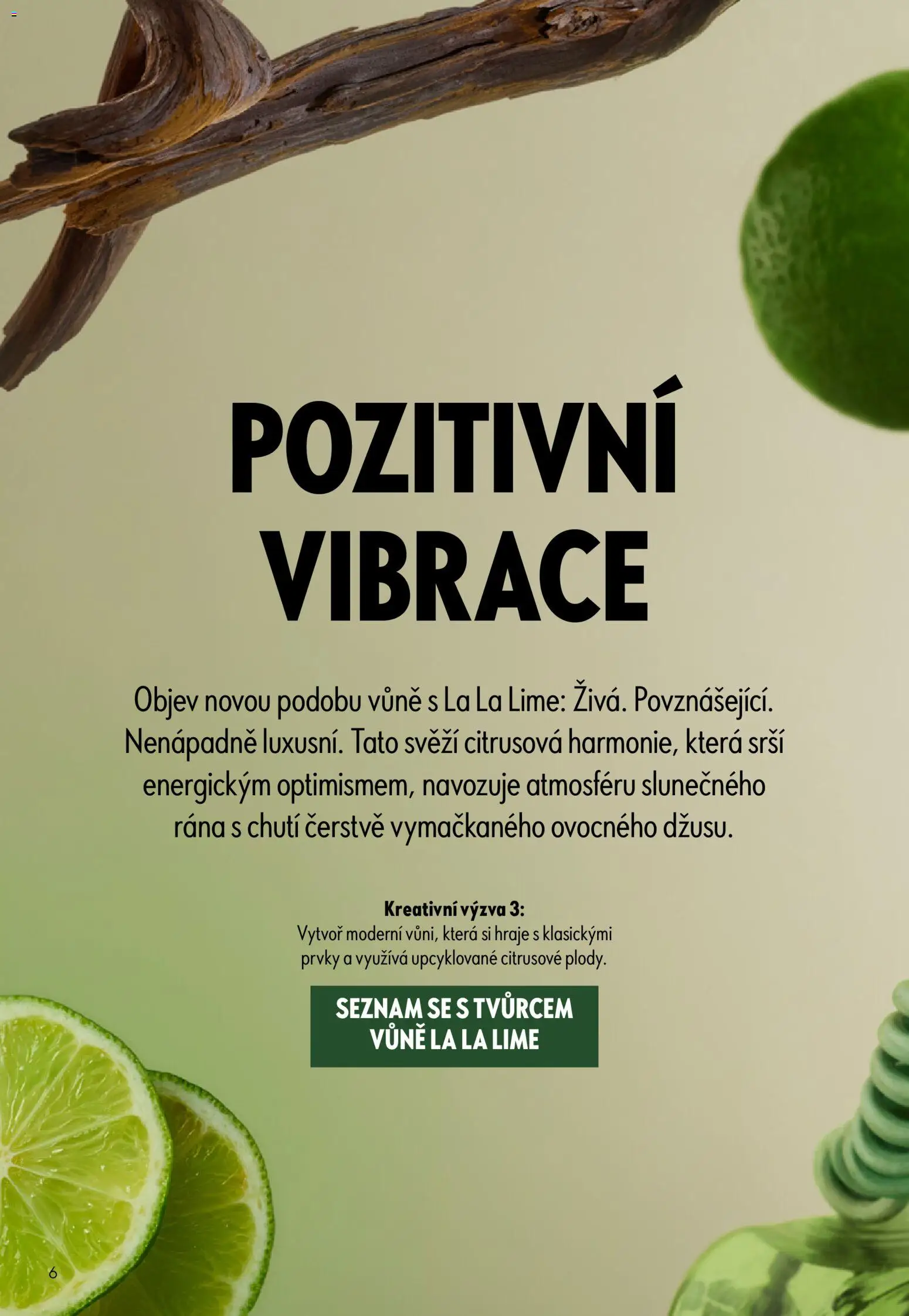Oriflame katalog č. 11/2026 od 29.07.2026 | Strana: 6