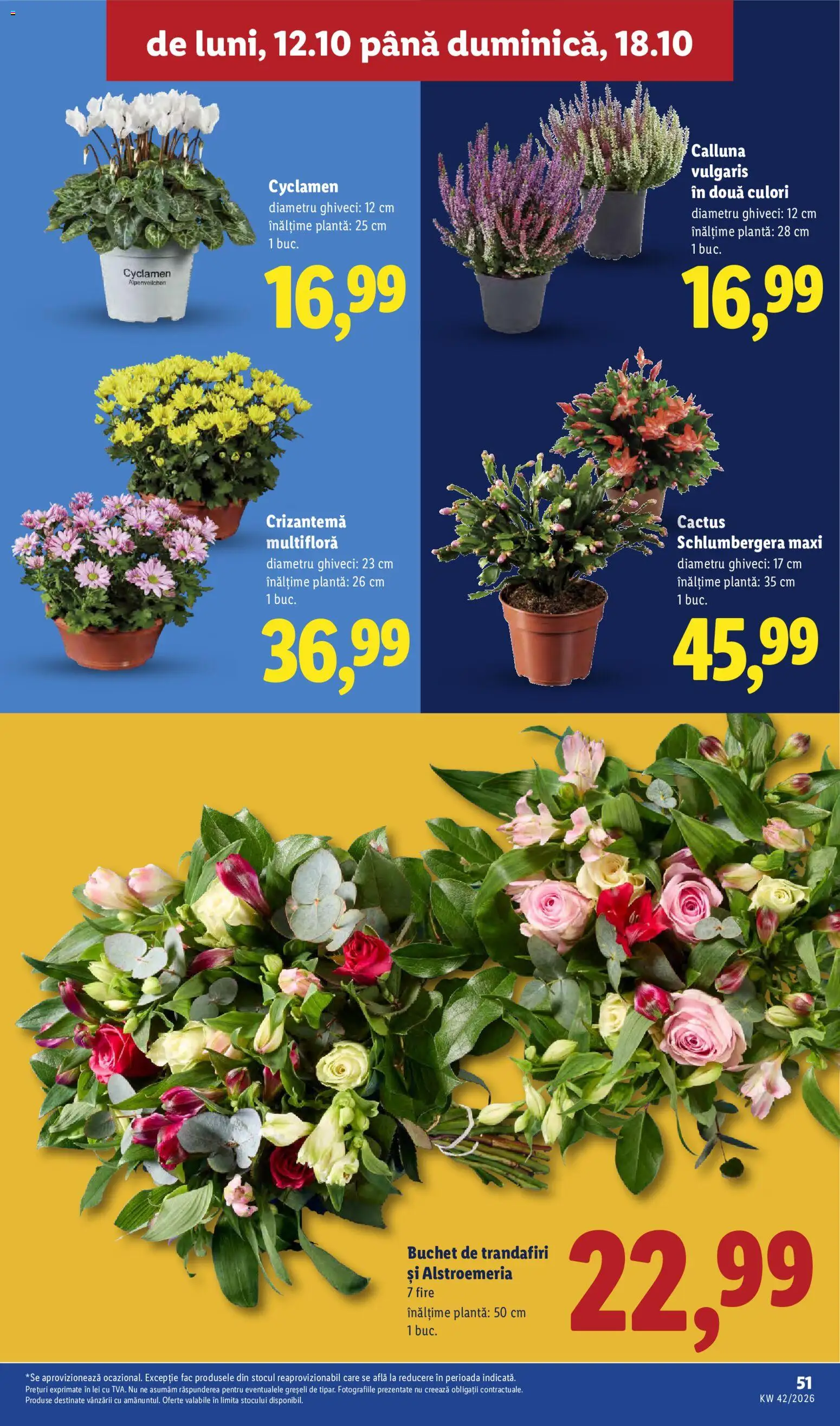 Noul catalog Lidl – valabil de la 12.10.2026 | Pagină: 51