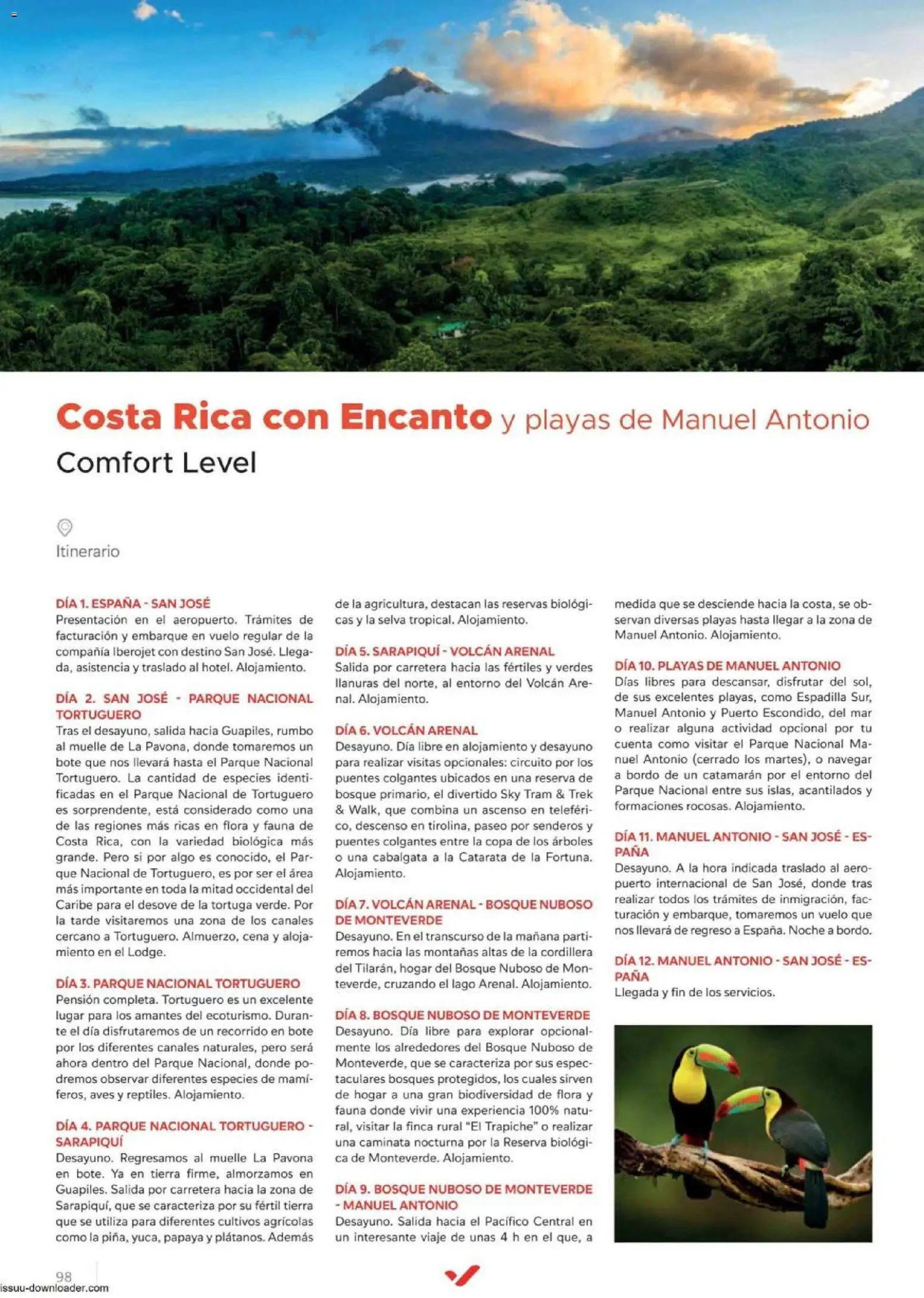 Halcón Viajes Comfort level 2026 │ válido desde el 04.06.2026 | Página: 98 | Productos: Té