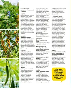 Náhled letáku Billa leták - Gusto: Léto 2026 od 01.06.2026 | Strana: 56 | Produkty: Jahody, Okurky, Rostliny, Meruňky