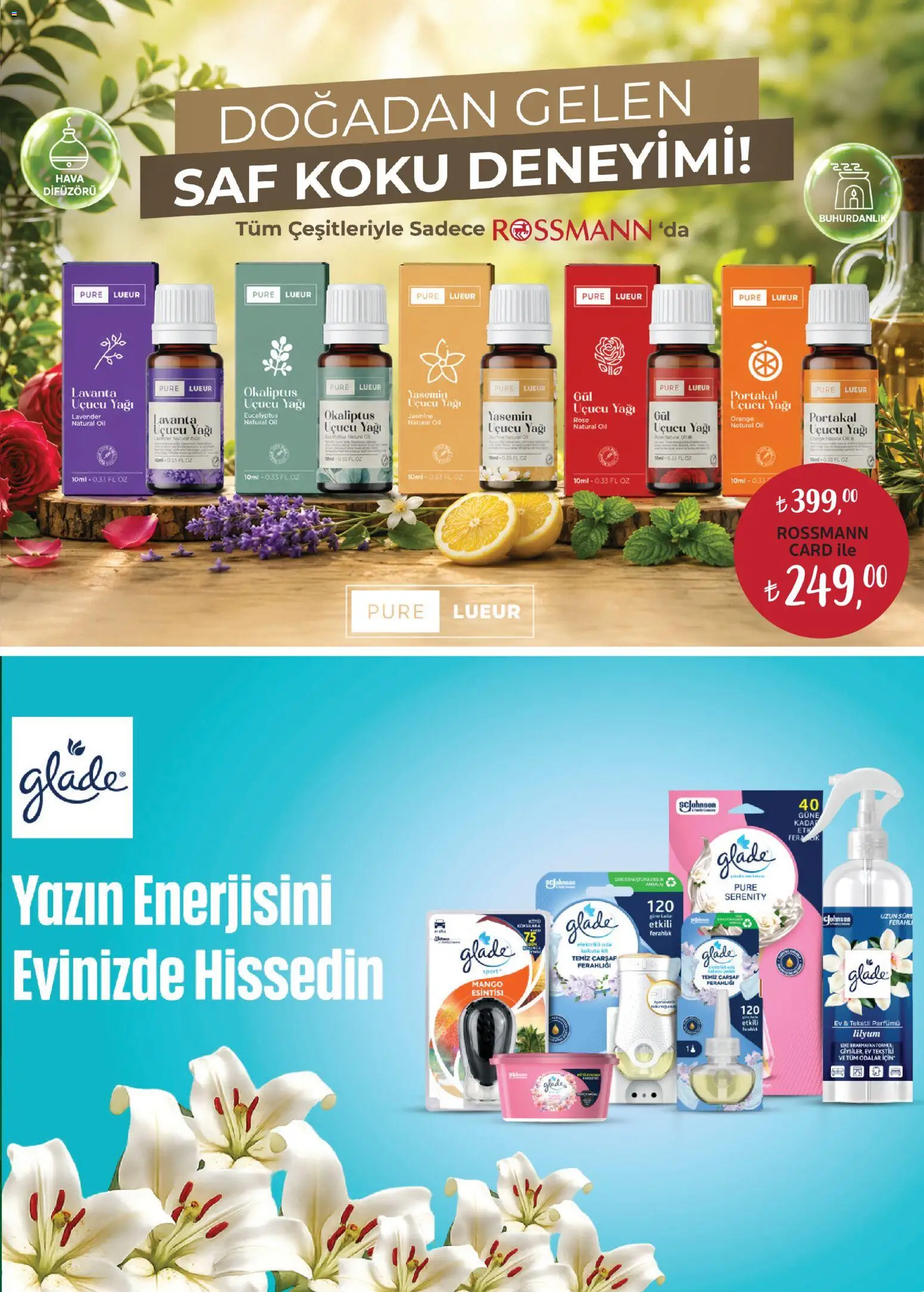 Rossmann - Ağustos Ev & Yaşam Kataloğu - 30 Temmuz 2026 tarihinden itibaren geçerlidir | Sayfa: 5 | Ürünler: Çarşaf, Koku, Portakal, Mango