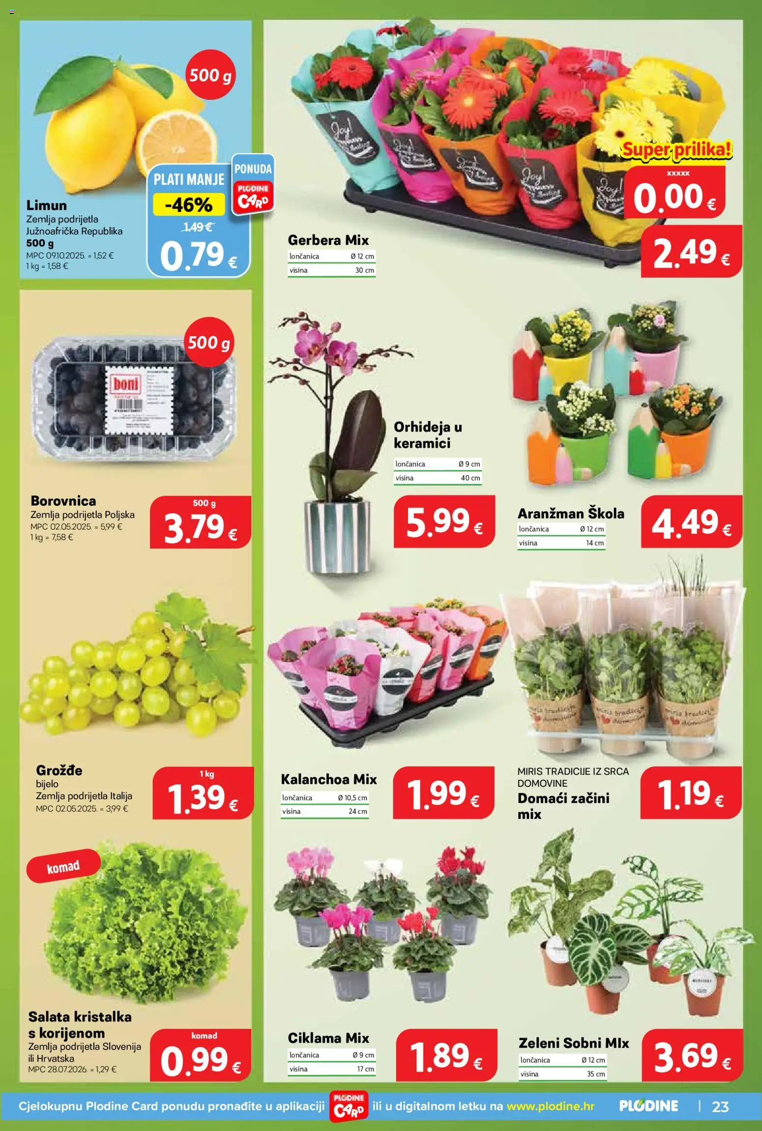 Plodine katalog | vrijedi od 19.08.2026 | Stranica: 23 | Proizvodi: Orhideja, Začini, Borovnica, Loncanica