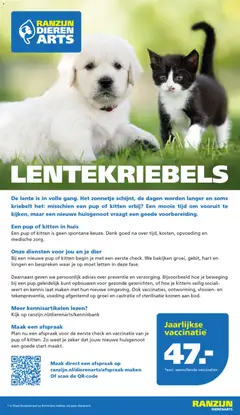 Ranzijn folder - Voorbeeld van een folder van Ranzijn, geldig van 10.05.2026 | Pagina: 16 | Producten: Olasz felvágott