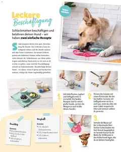 Fressnapf Friends Magazin ab 01.07.2026 gültig | Seite: 37 | Produkte: Joghurt, Kühlschrank, Heidelbeeren, Gemüse