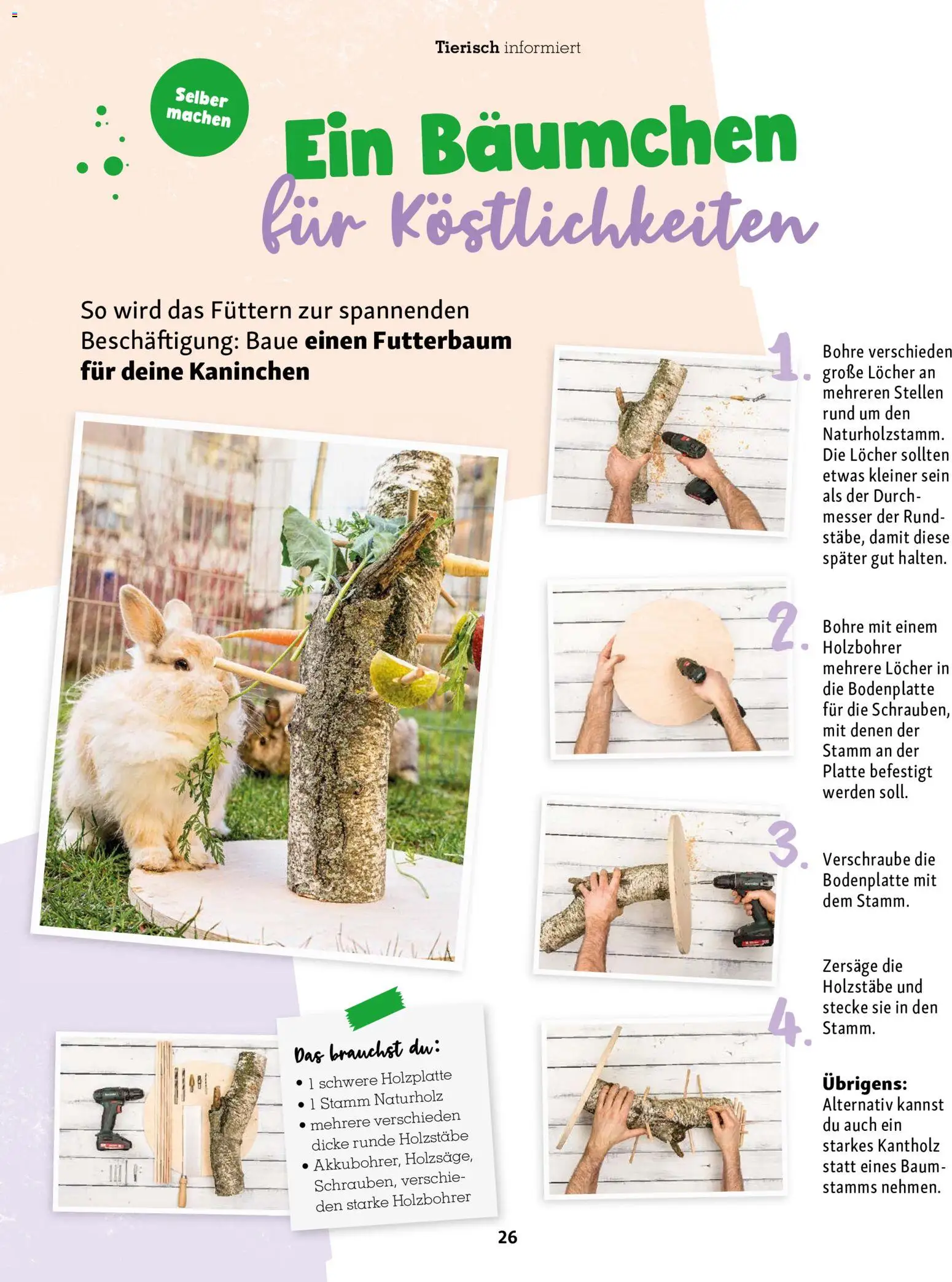 Fressnapf Friends Magazin – gültig ab 01.09.2026 | Seite: 26 | Produkte: Kaninchen