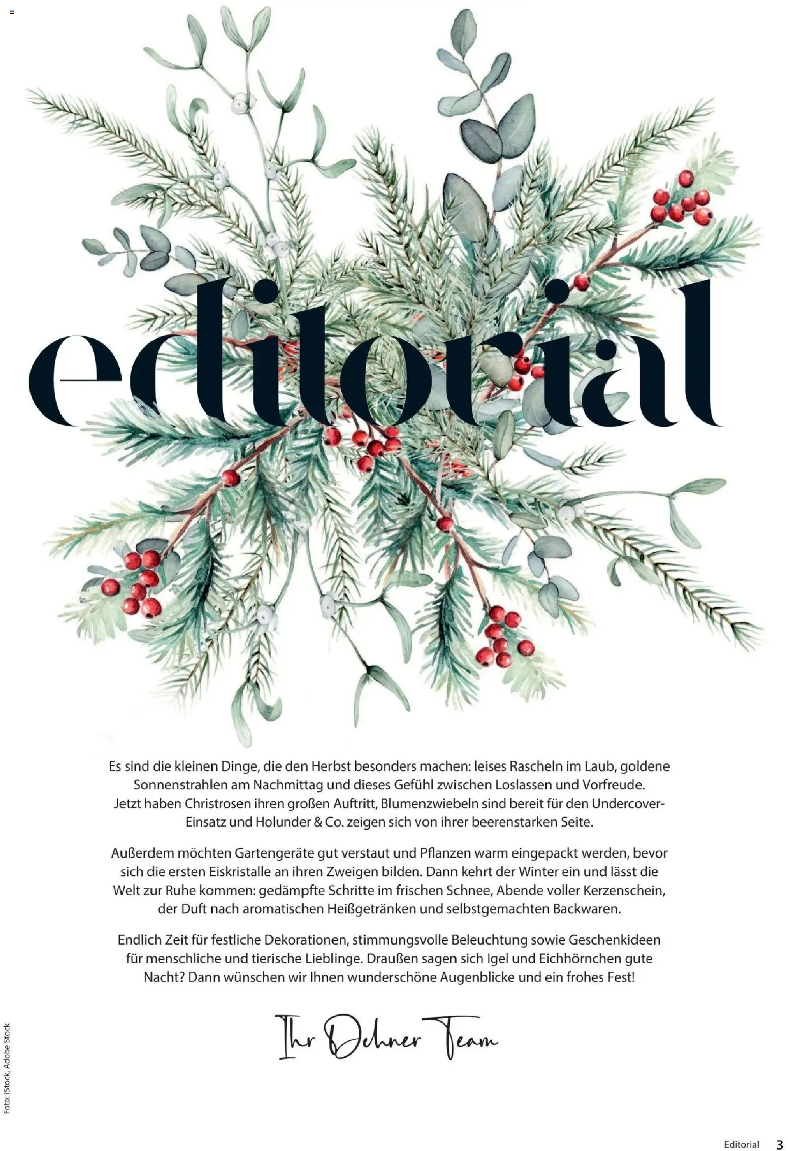 Dehner Magazine HERBST/WINTER 2026 gültig ab 09.10.2026 | Seite: 3 | Produkte: Duft