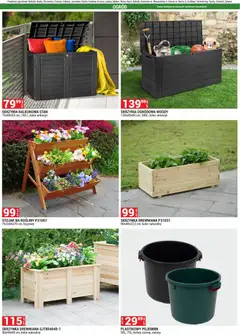 Pogląd oferty "Merkury Market gazetka" - ważna od 01.09.2026 | Strona: 25 | Produkty: Rosliny