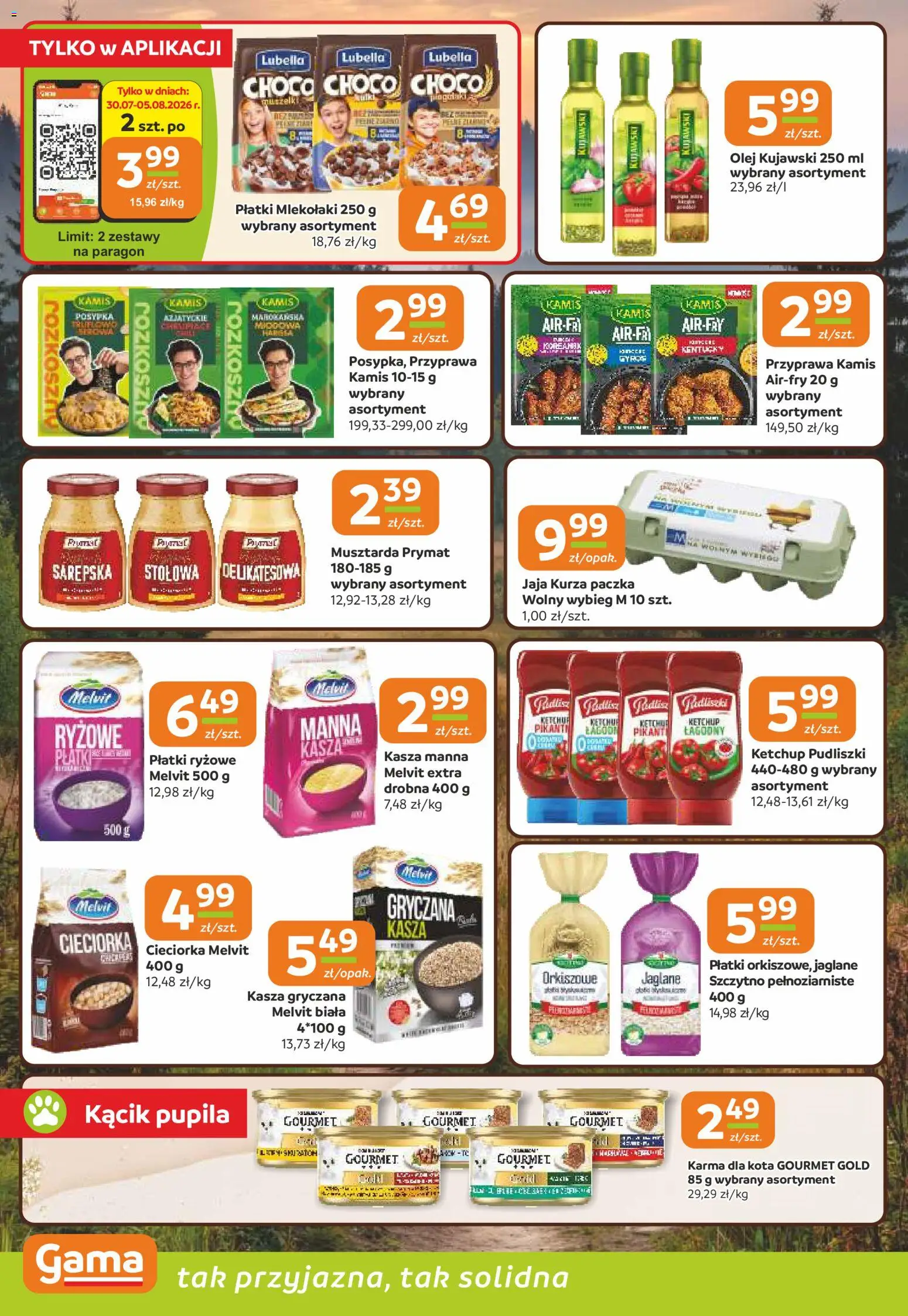Gama gazetka od 30.07.2026 | Strona: 8 | Produkty: Ketchup pudliszki, Płatki ryżowe, Płatki, Jaja