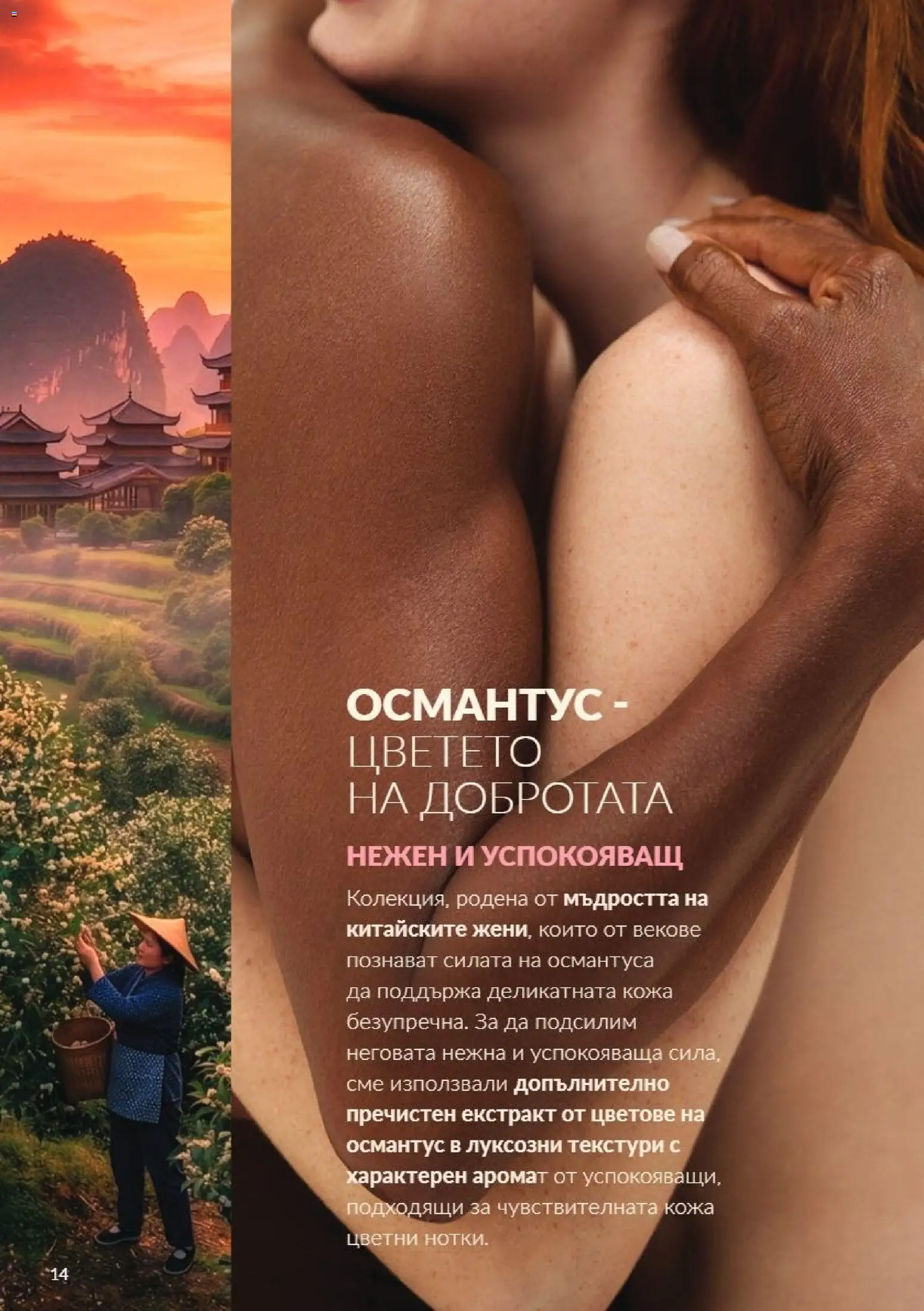 {H1} | Страница: 14 | Продукти: Аромат