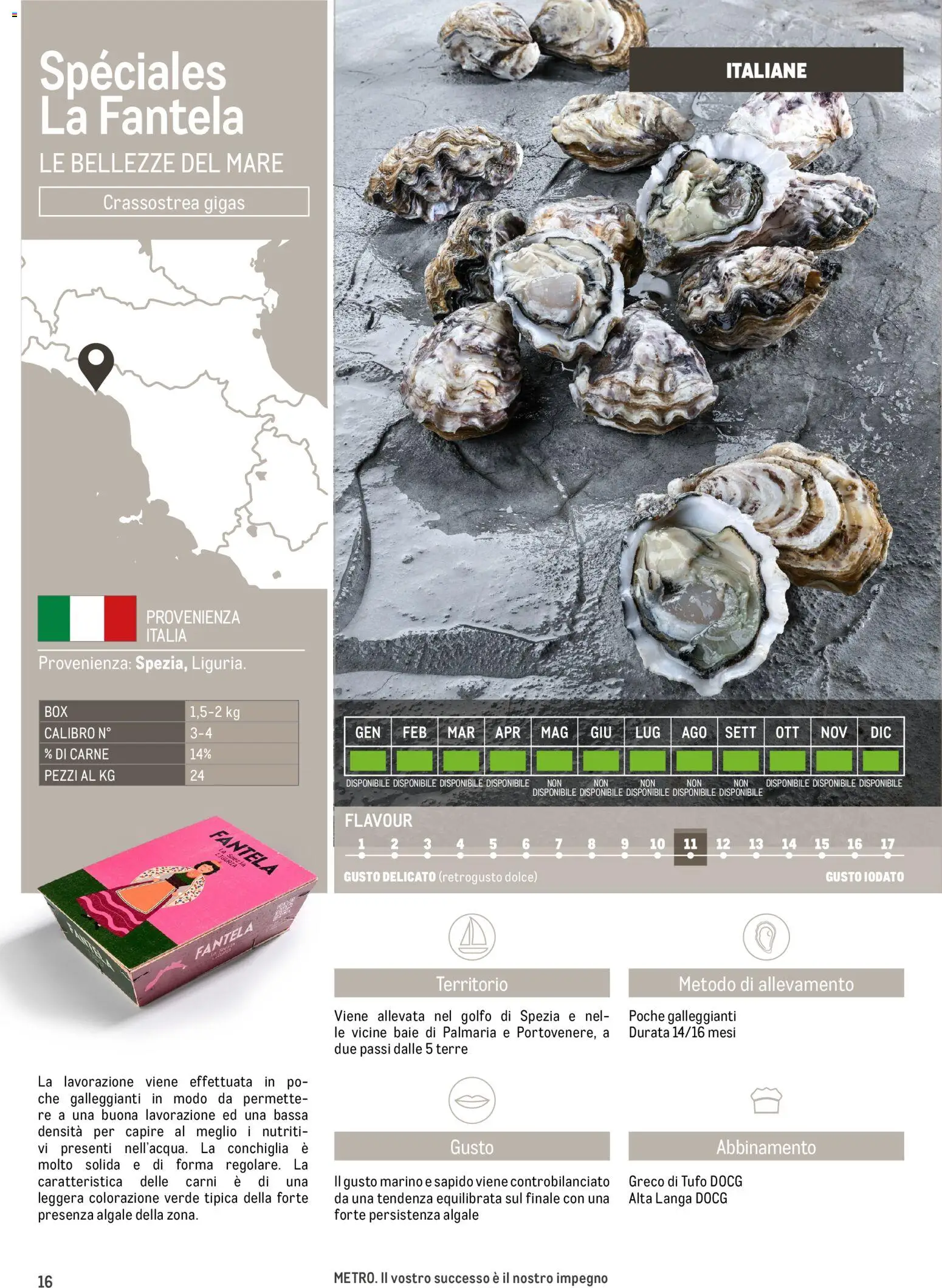 Volantino Metro del 13/06/2025 | Pagina: 16 | Prodotti: Carne