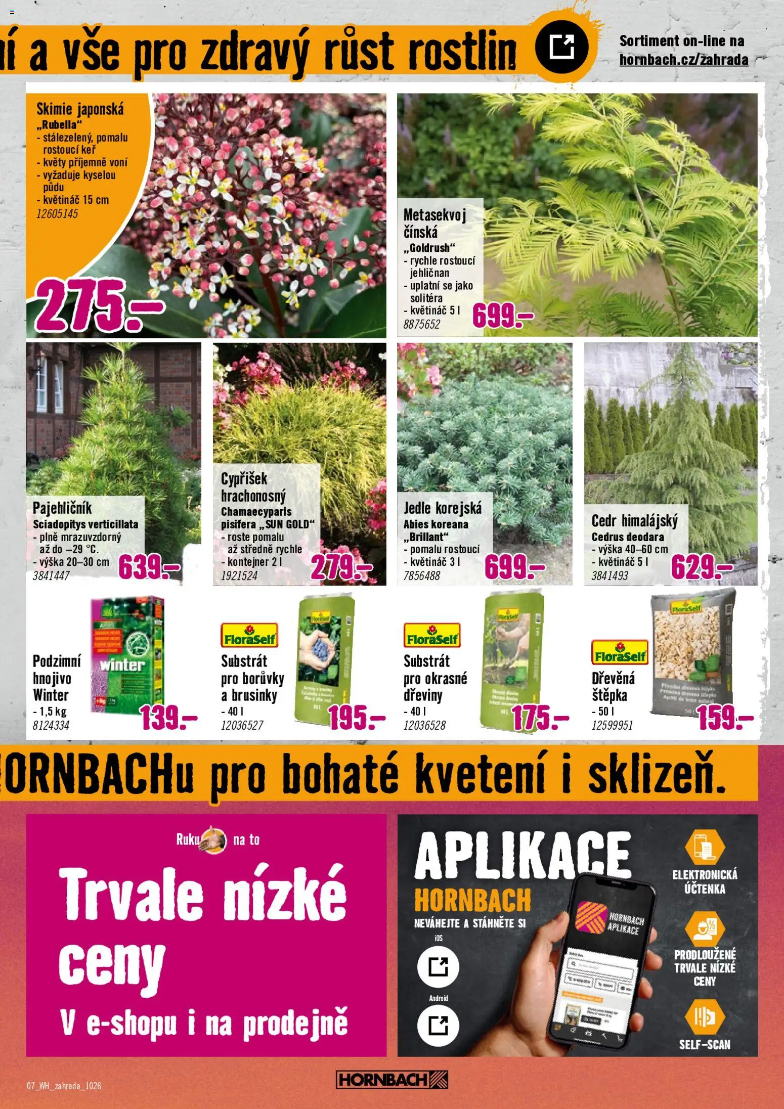 HORNBACH leták - Podzimní zahrada od 07.10.2026 | Strana: 7 | Produkty: Substrát, Brusinky, Hnojivo, Květináč