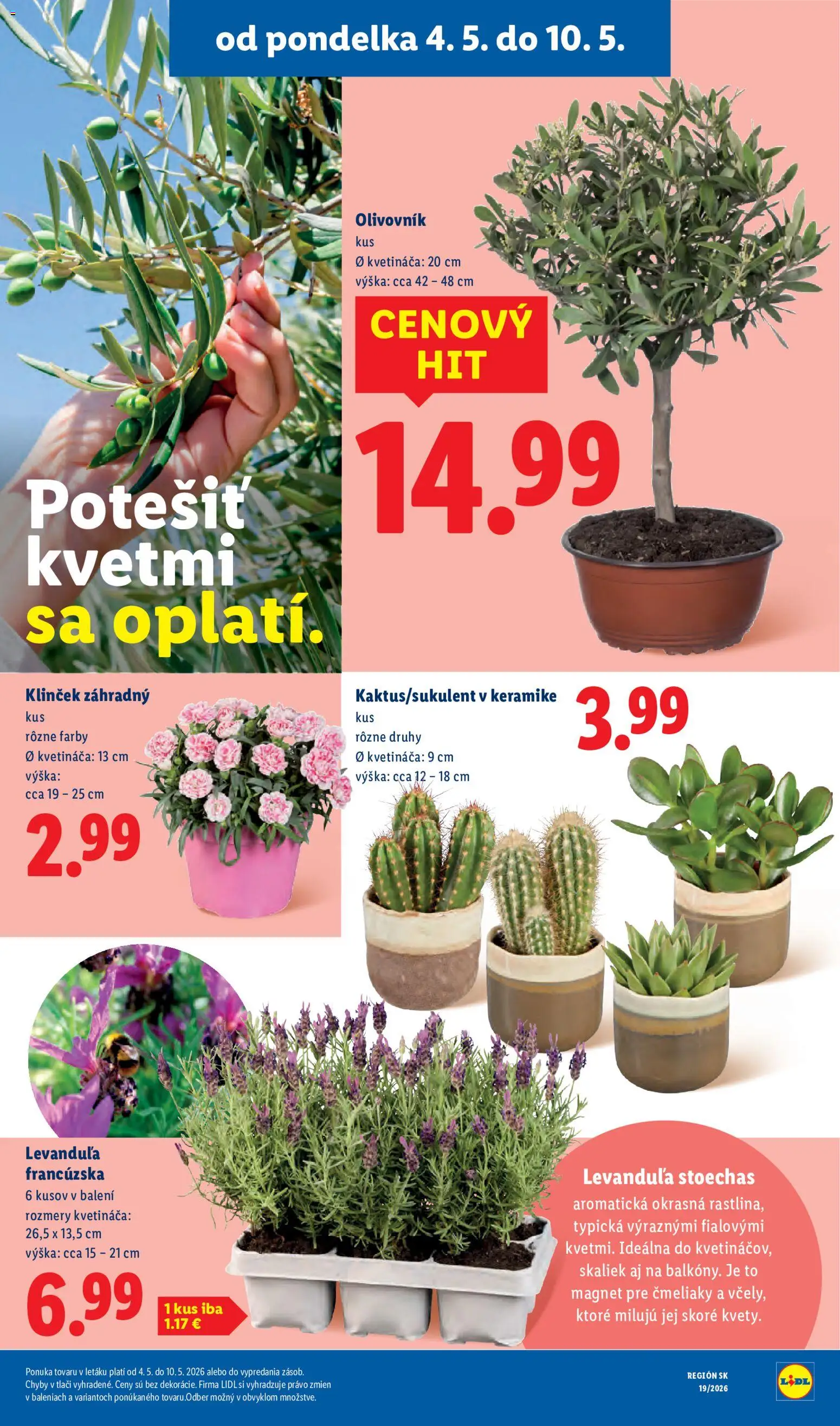 Nové Lidl akcie – leták je platný od 04.05.2026 | Strana: 42