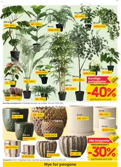 Forhåndsvisning av Rusta kundeavis gyldig fra 31/08/2026 | Side: 7 | Produkter: Hortensia, Asparges