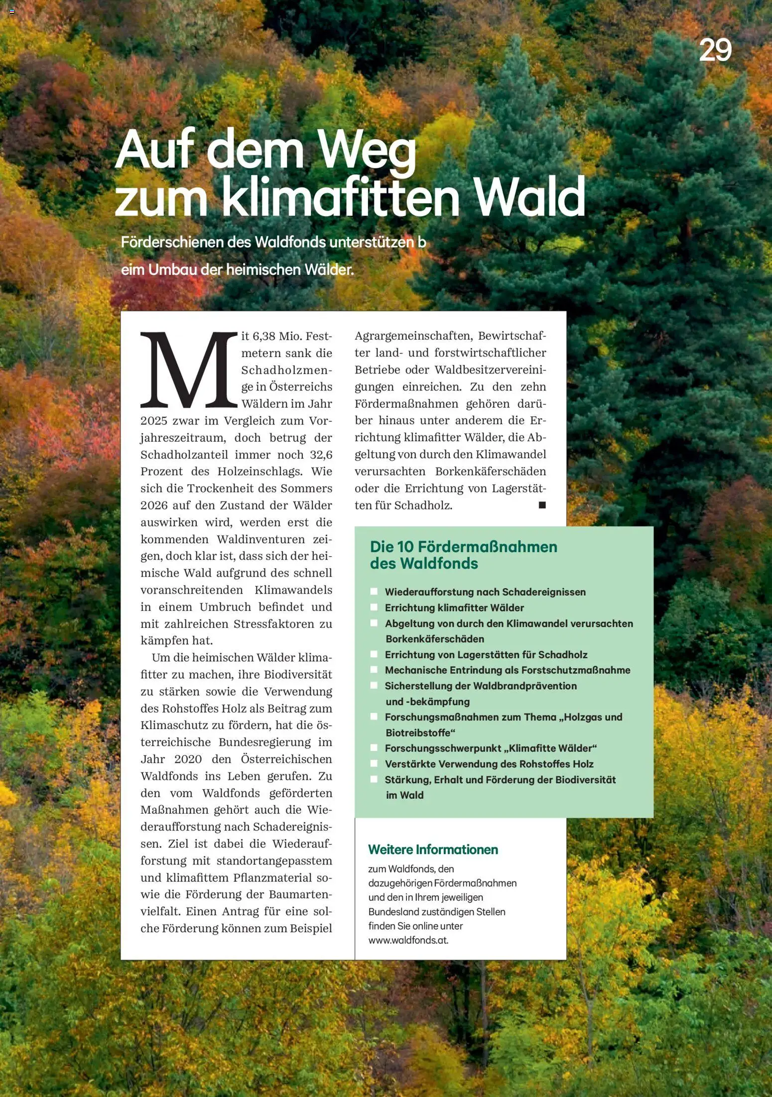 Lagerhaus Unser Land Oktober 2026 gültig ab 01.10.2026 | Seite: 29