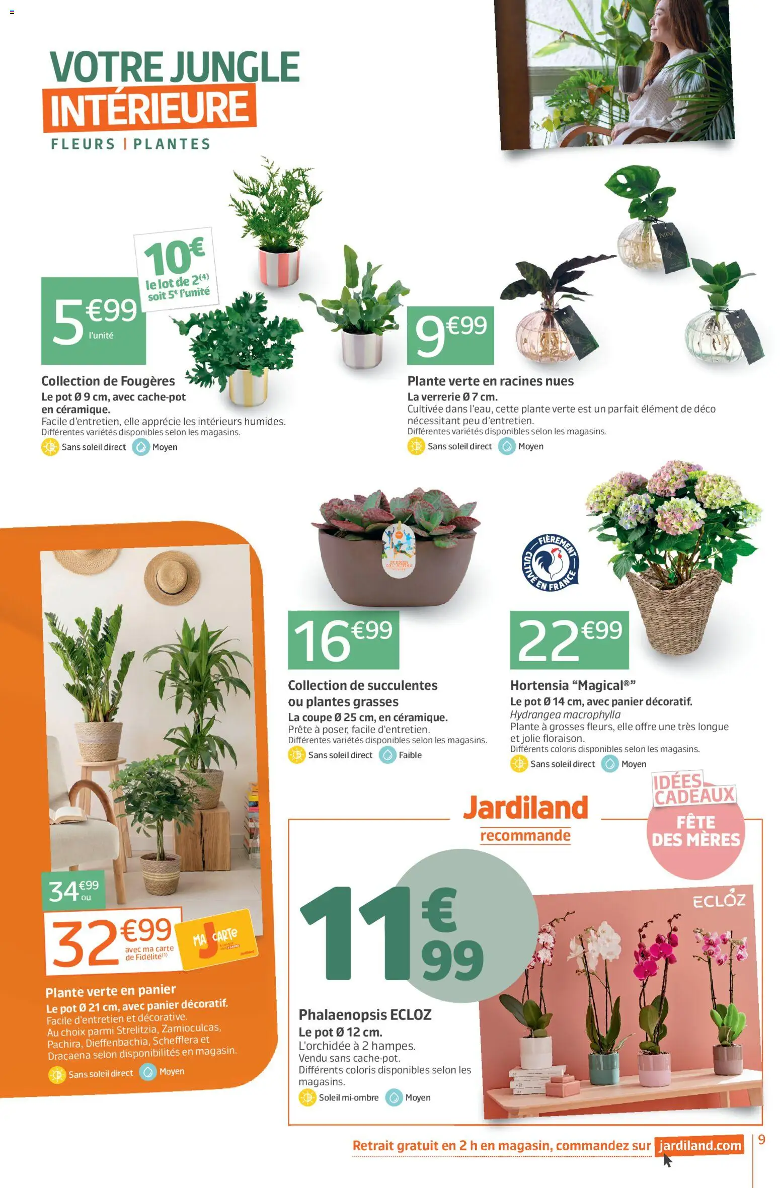 {H1} | Page: 9 | Produits: Hortensia, L'orchidée, Plantes, Plante verte