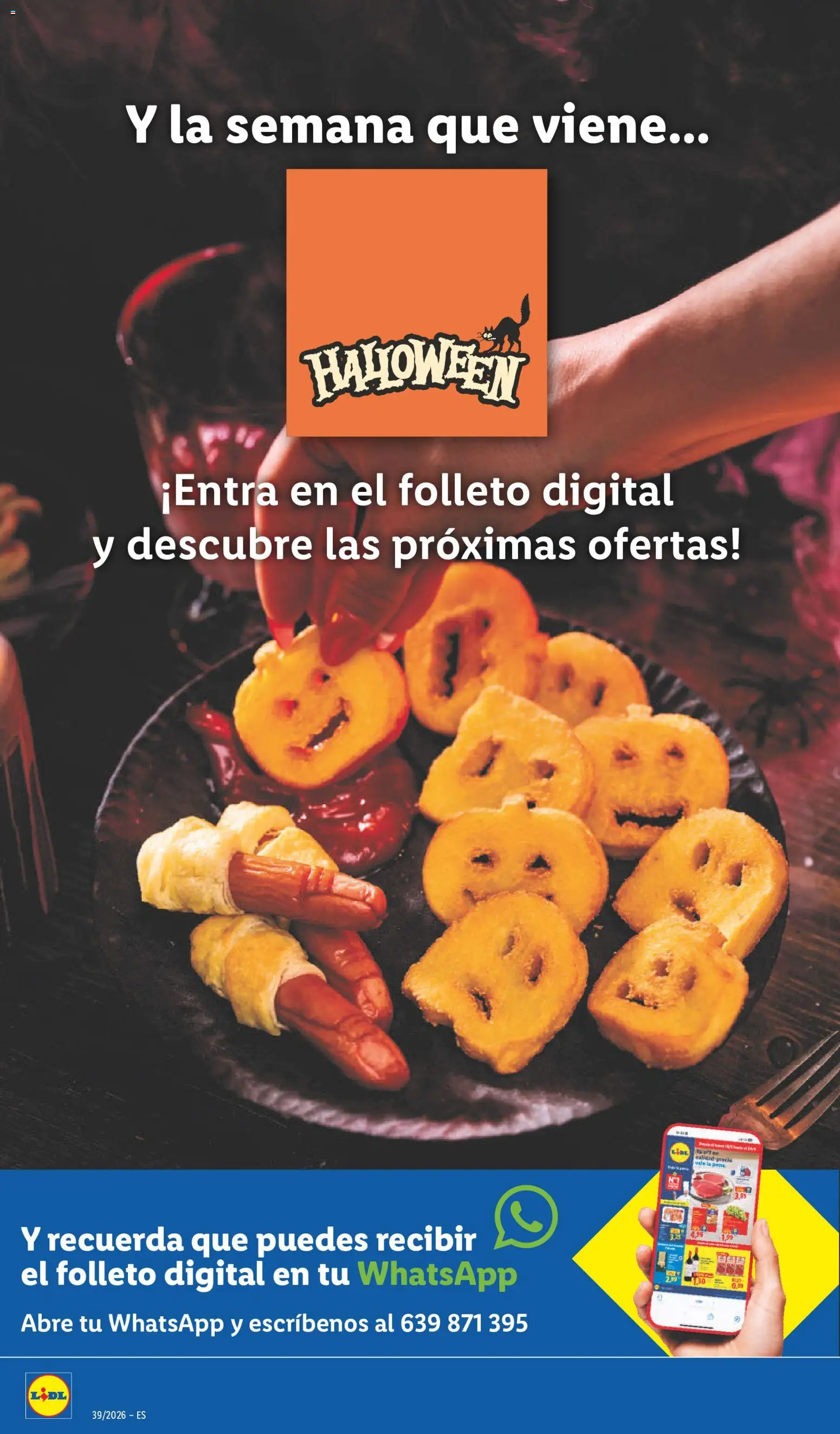 Lidl folleto de bazar │ válido desde el 21/09/2026 | Página: 24
