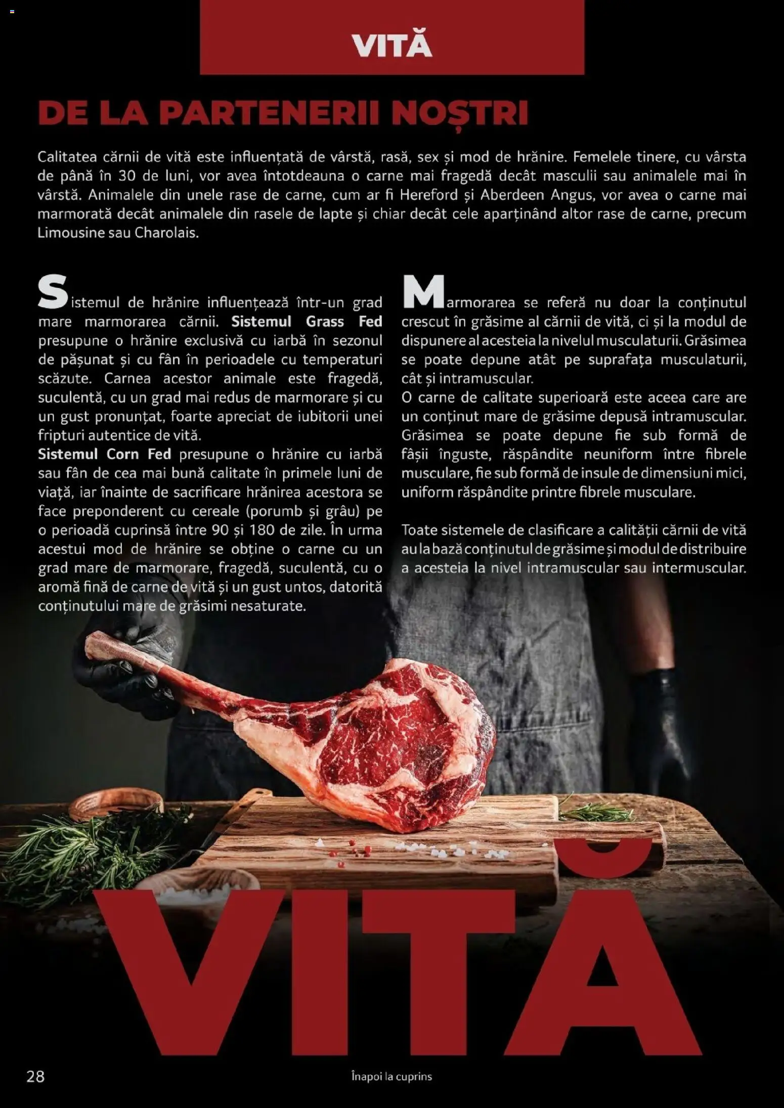 Noul catalog Selgros – valabil de la 25.03.2026 | Pagină: 28 | Produse: Vită, Lapte, Carne De Vită, Porumb