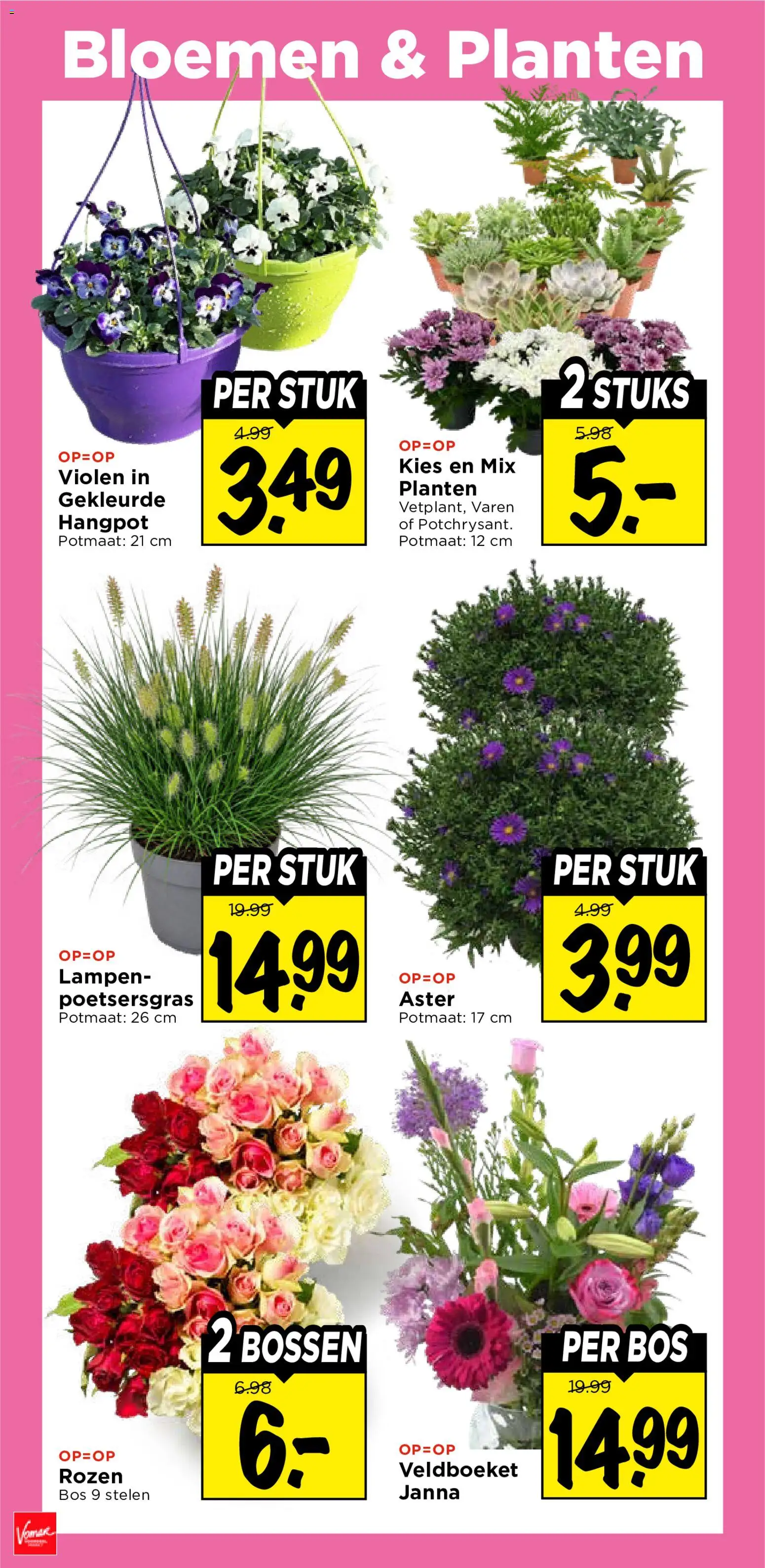 {H1} | Pagina: 34 | Producten: Bloemen