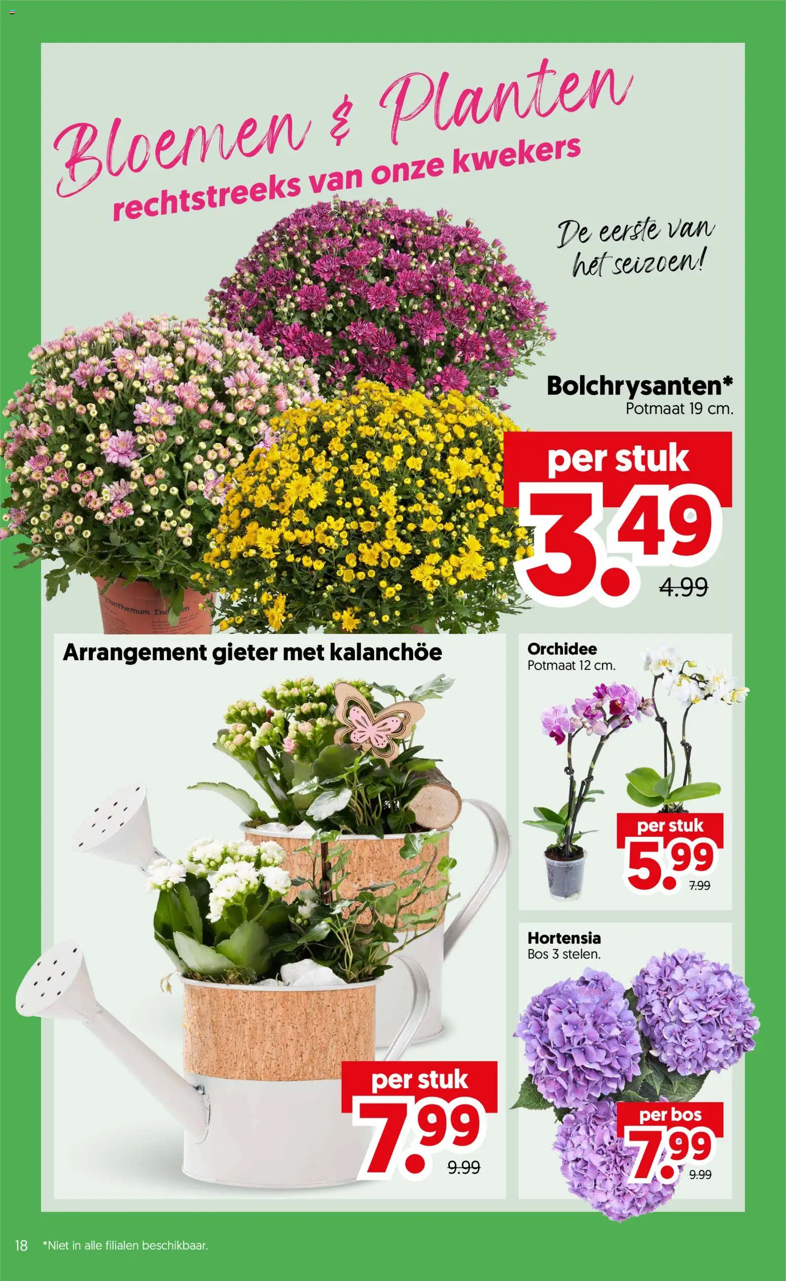 {H1} | Pagina: 21 | Producten: Bloemen