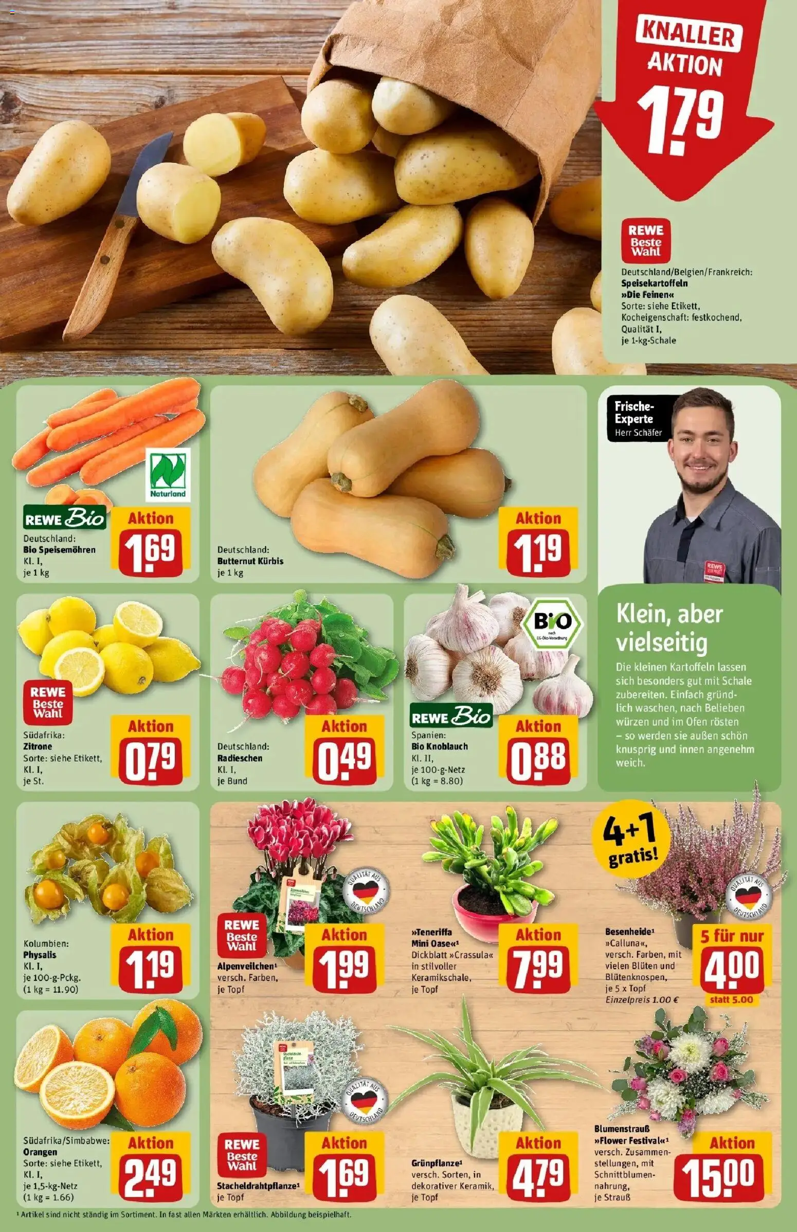 REWE Prospekt ab 05.10.2026 zum Blättern » Angebote | Seite: 9 | Produkte: Ofen, Kartoffeln, Zitrone, Knoblauch